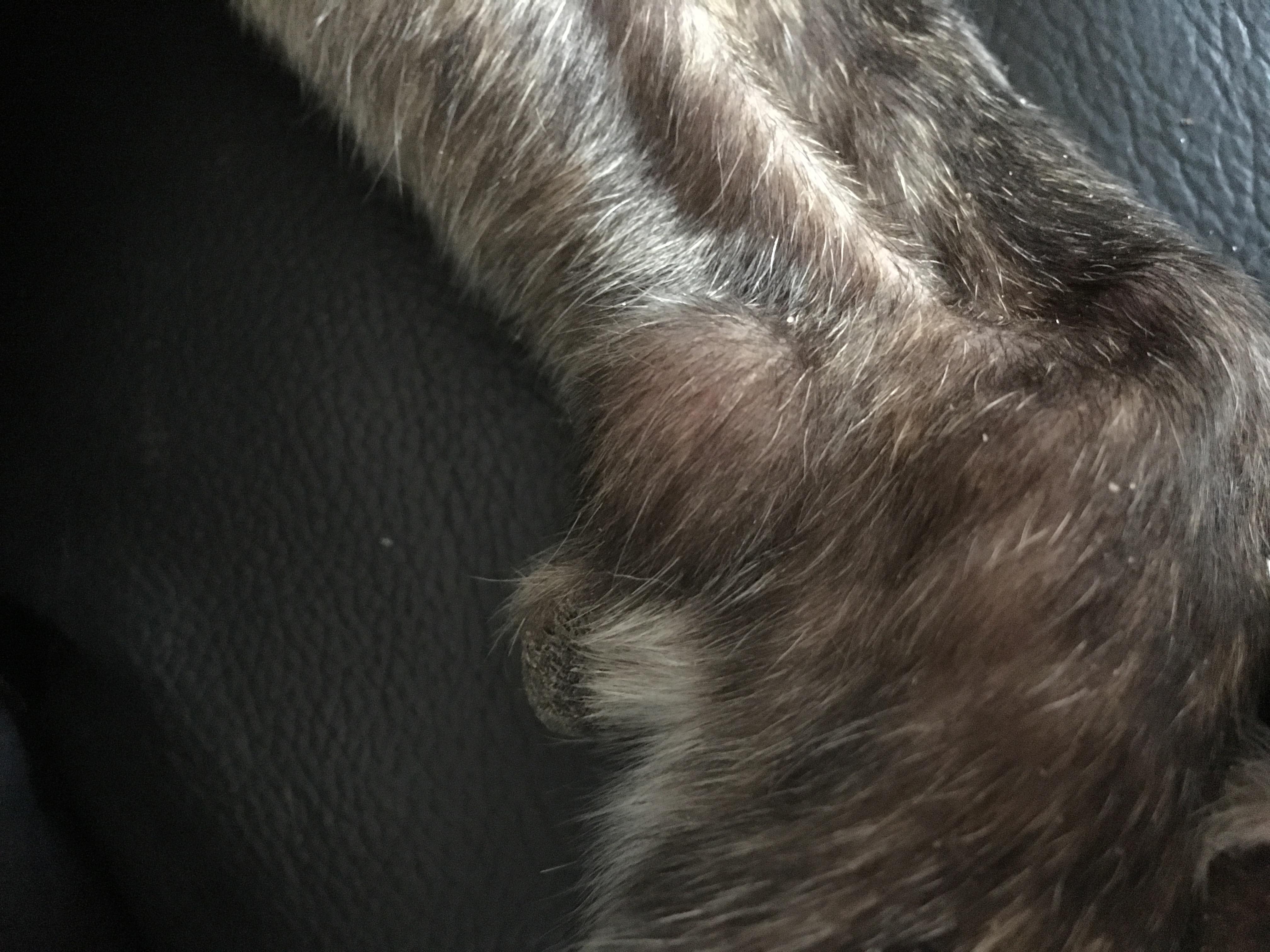 Question details sensitive content