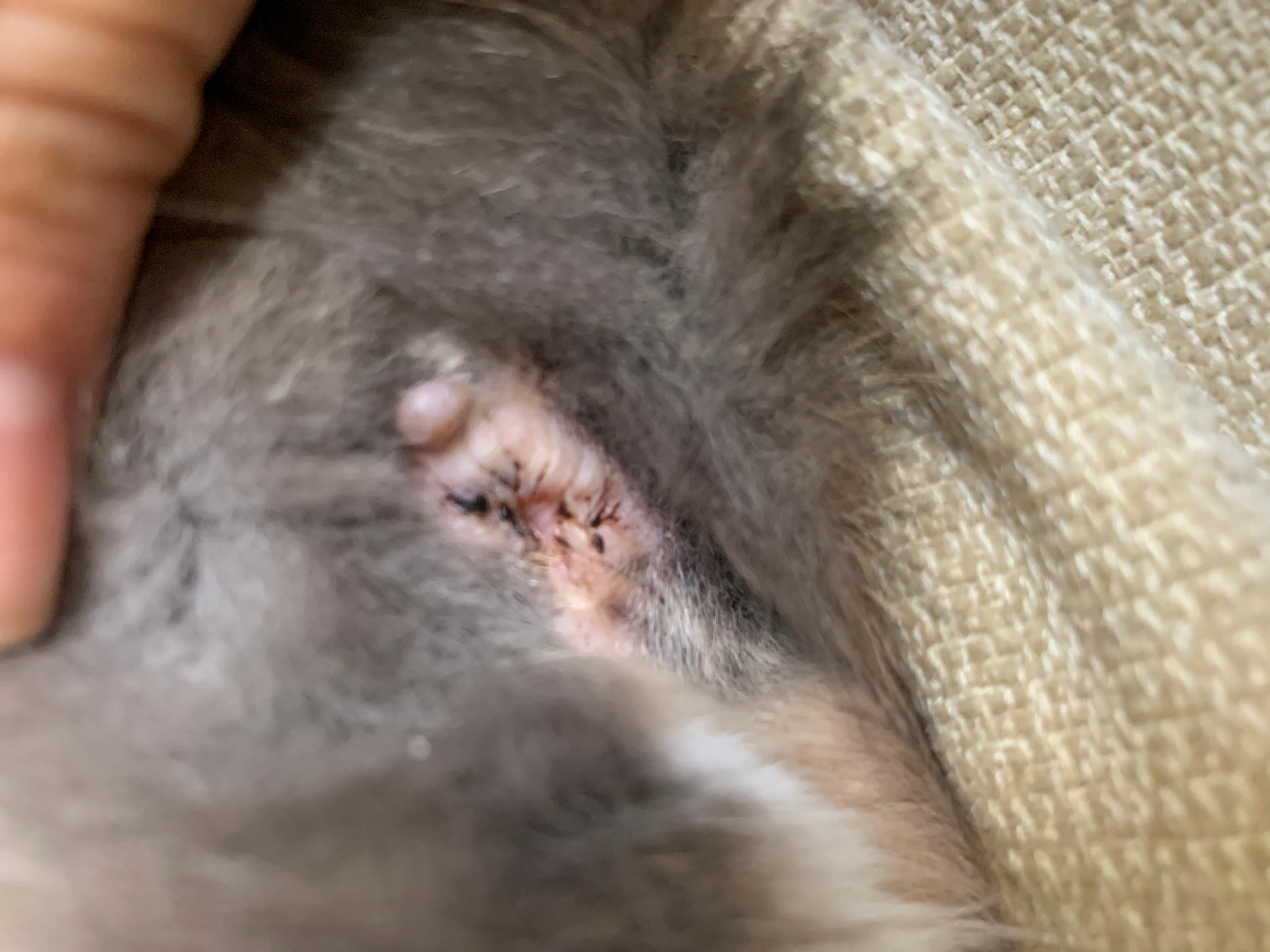 Question details sensitive content