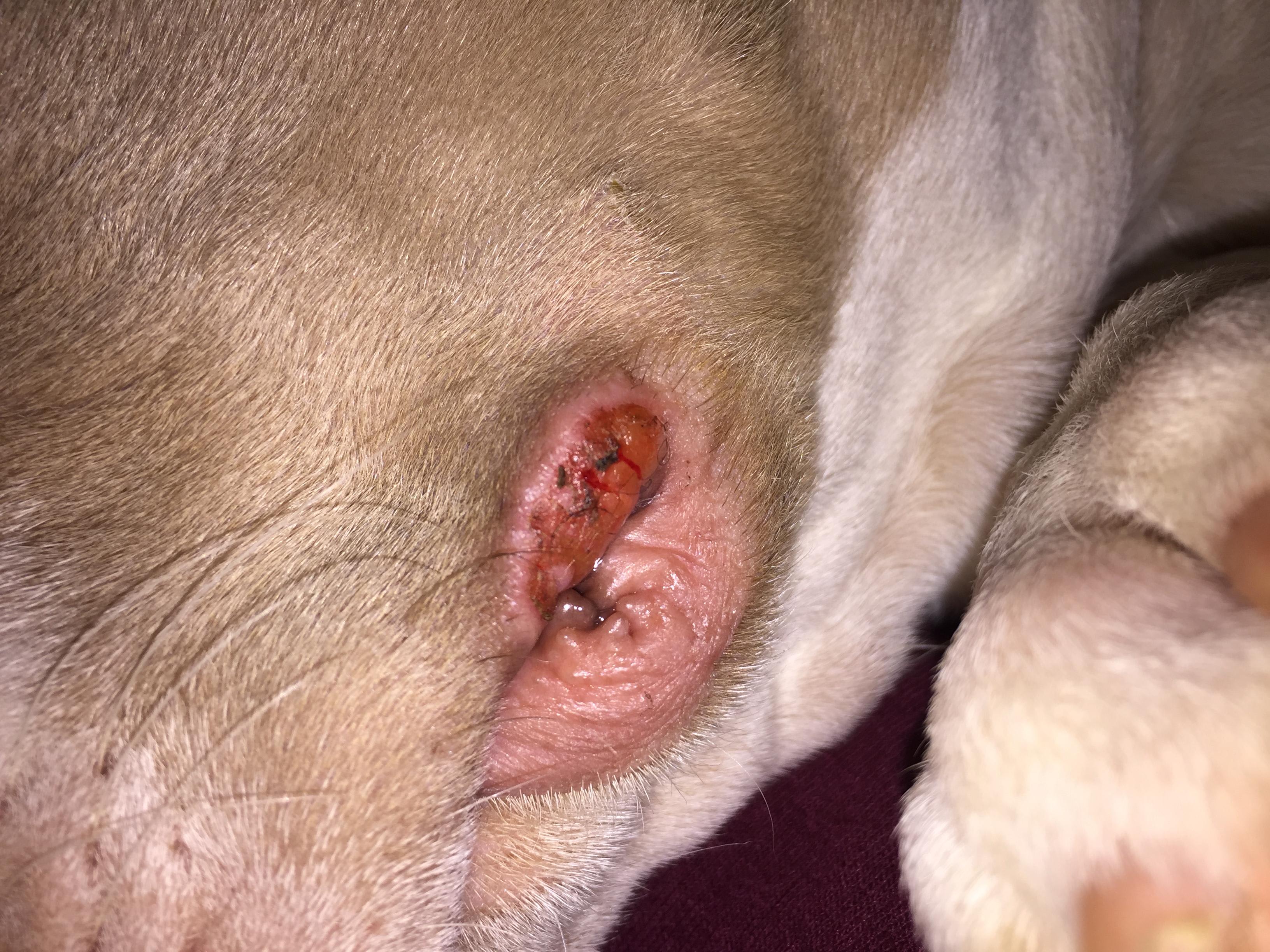 Question details sensitive content