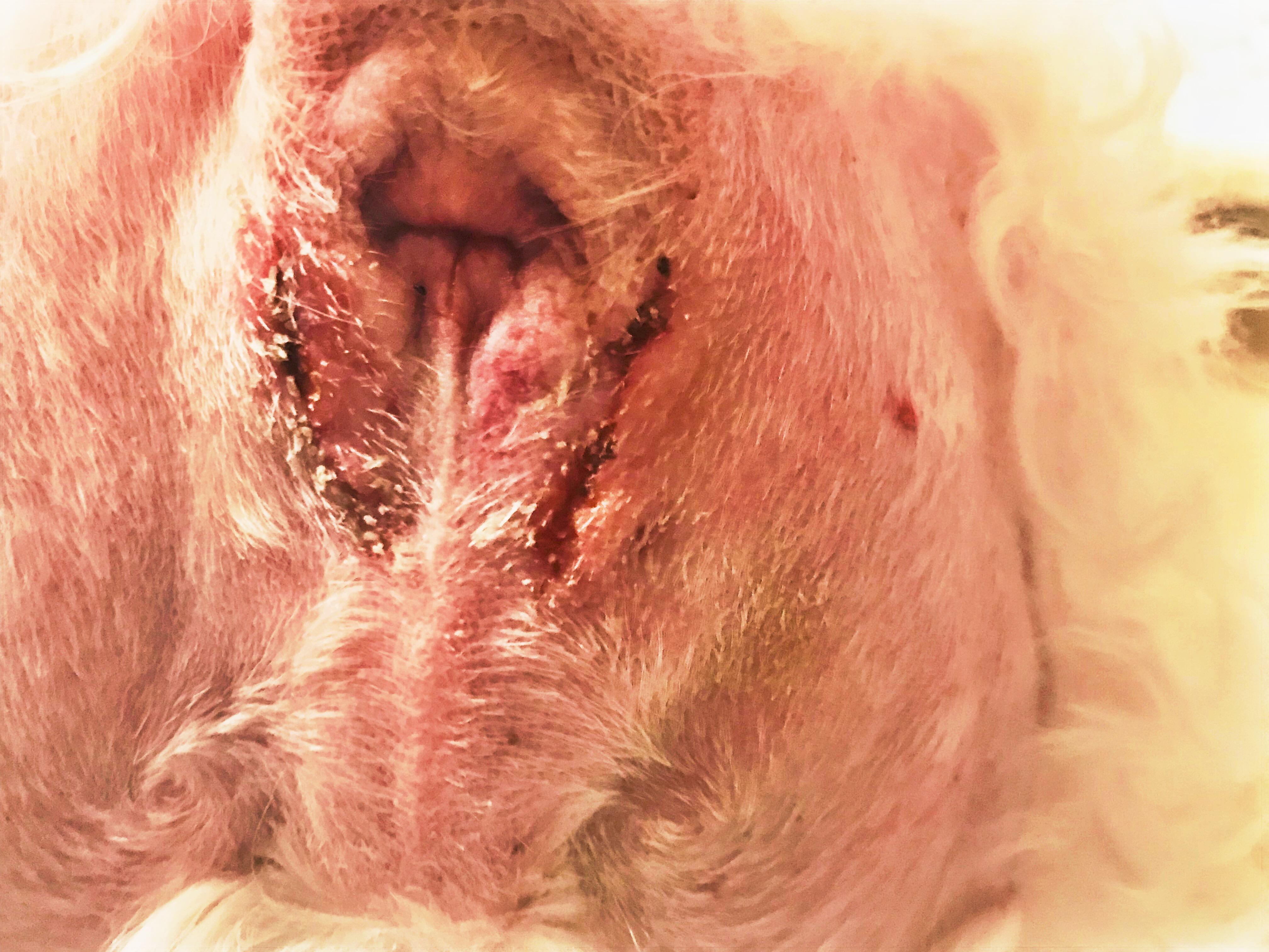 Question details sensitive content