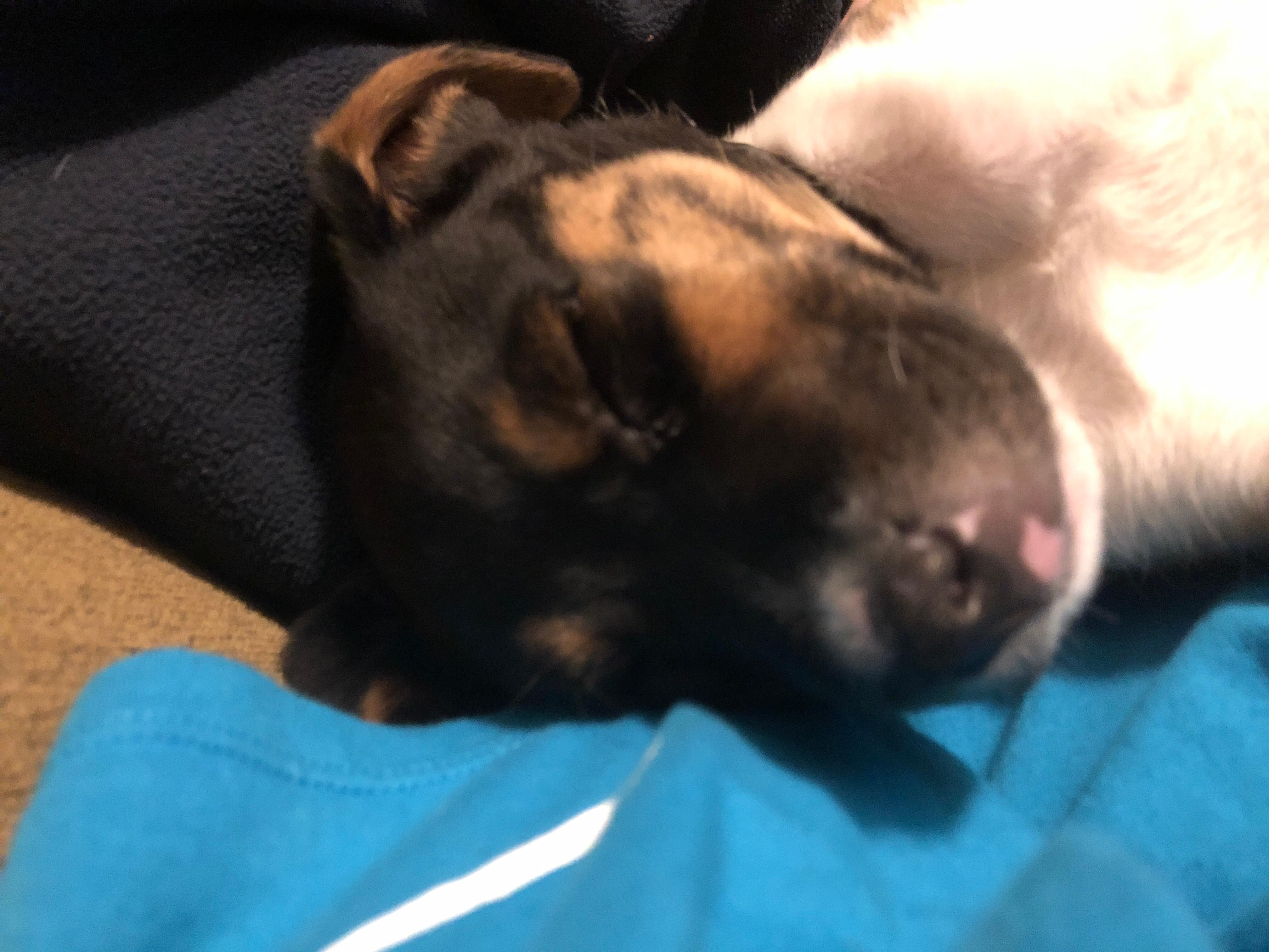 Question details sensitive content