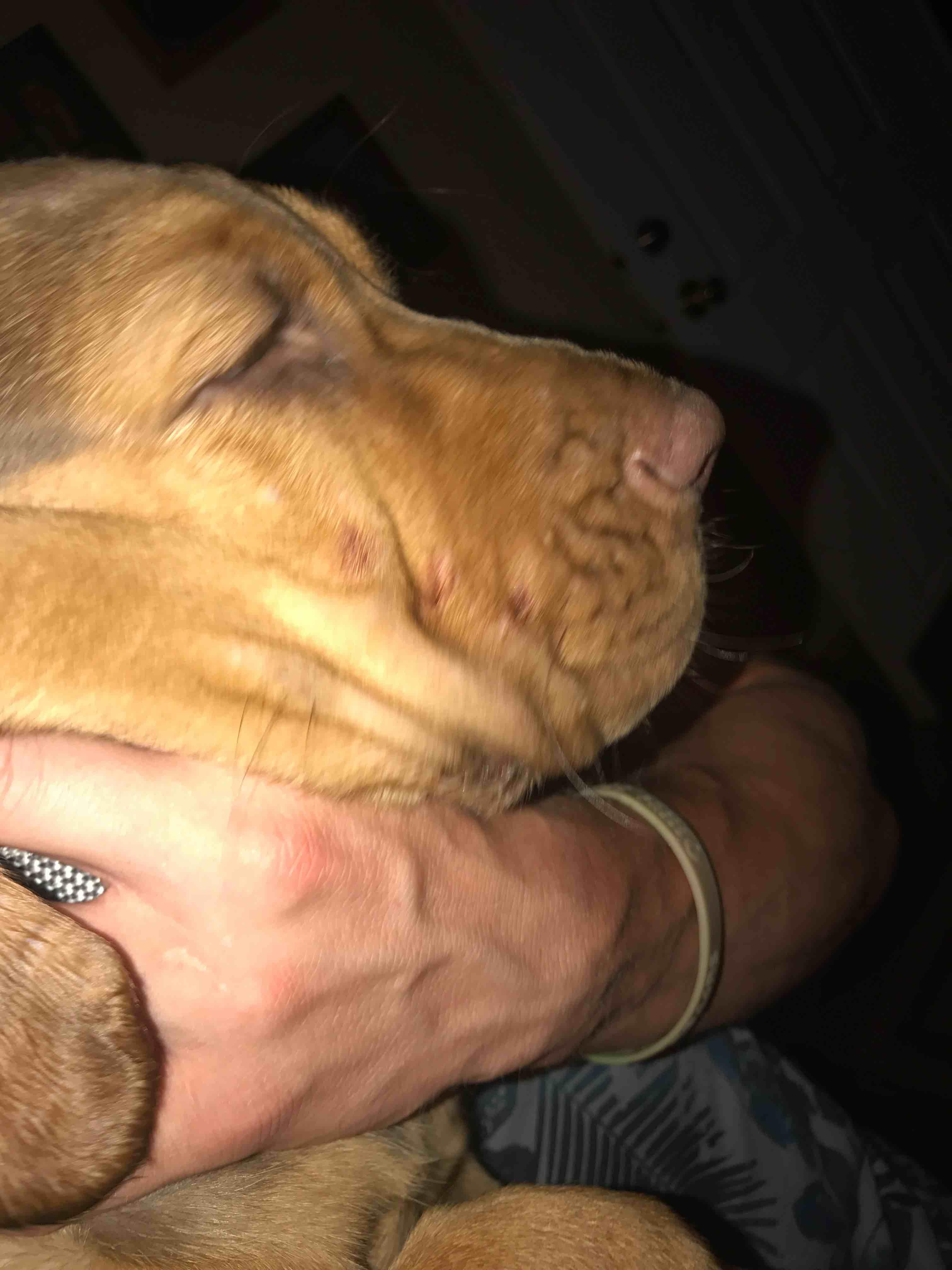 Question details sensitive content