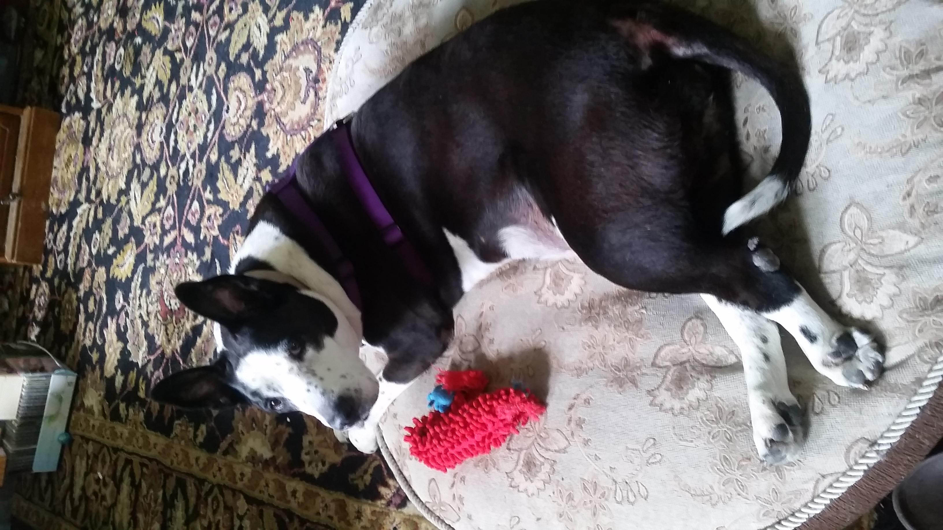 Question details sensitive content