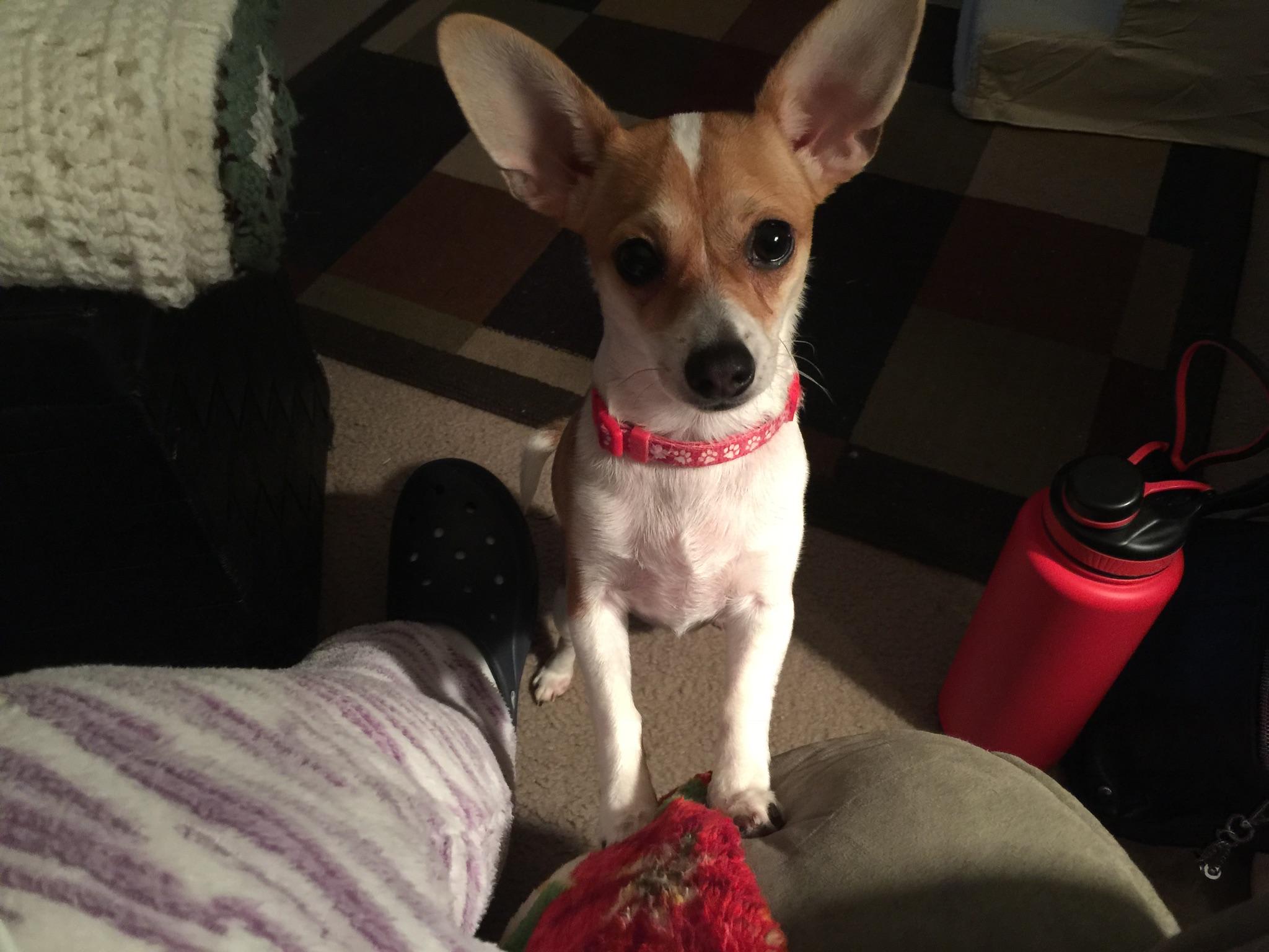 Question details sensitive content