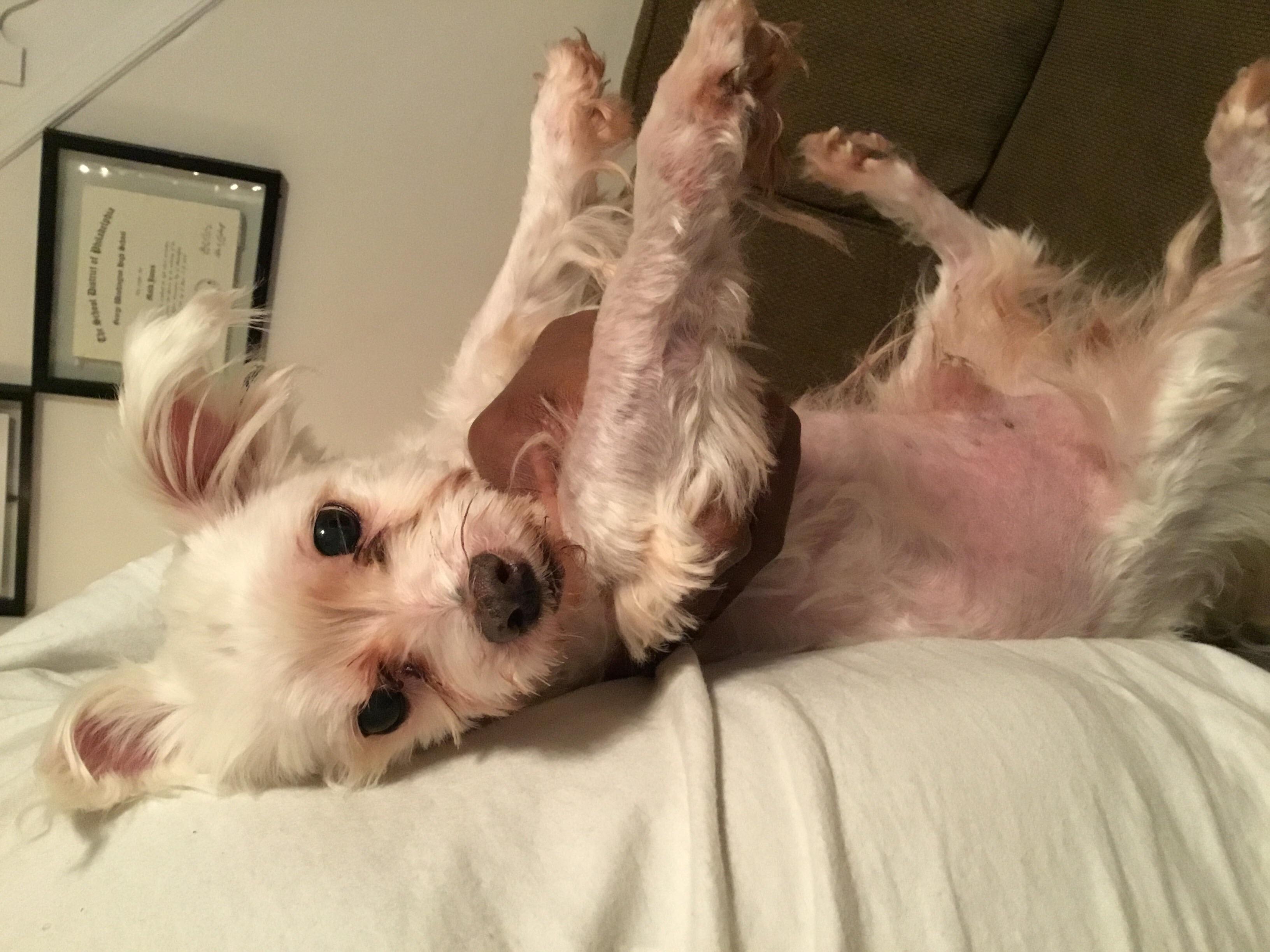 Question details sensitive content