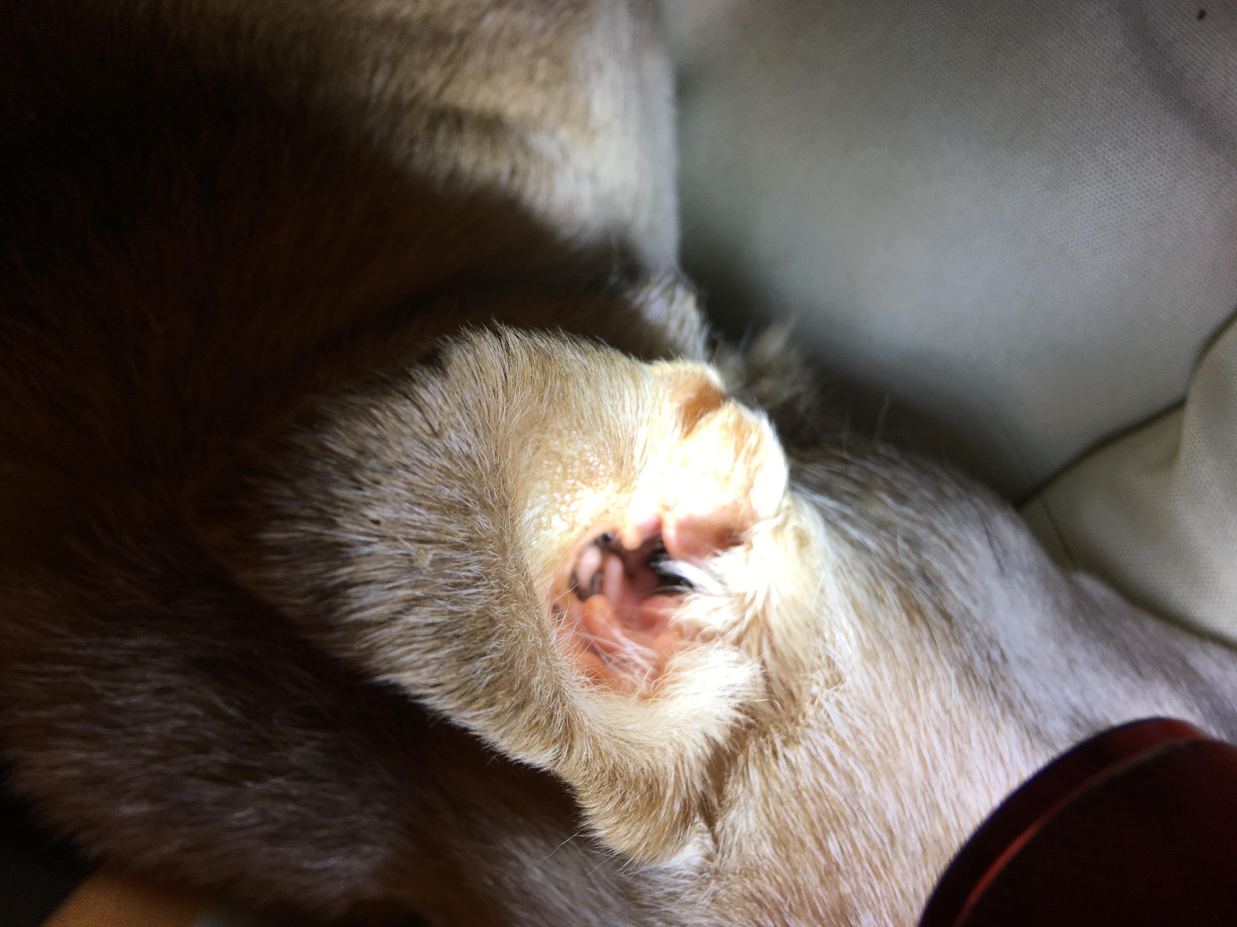 Question details sensitive content