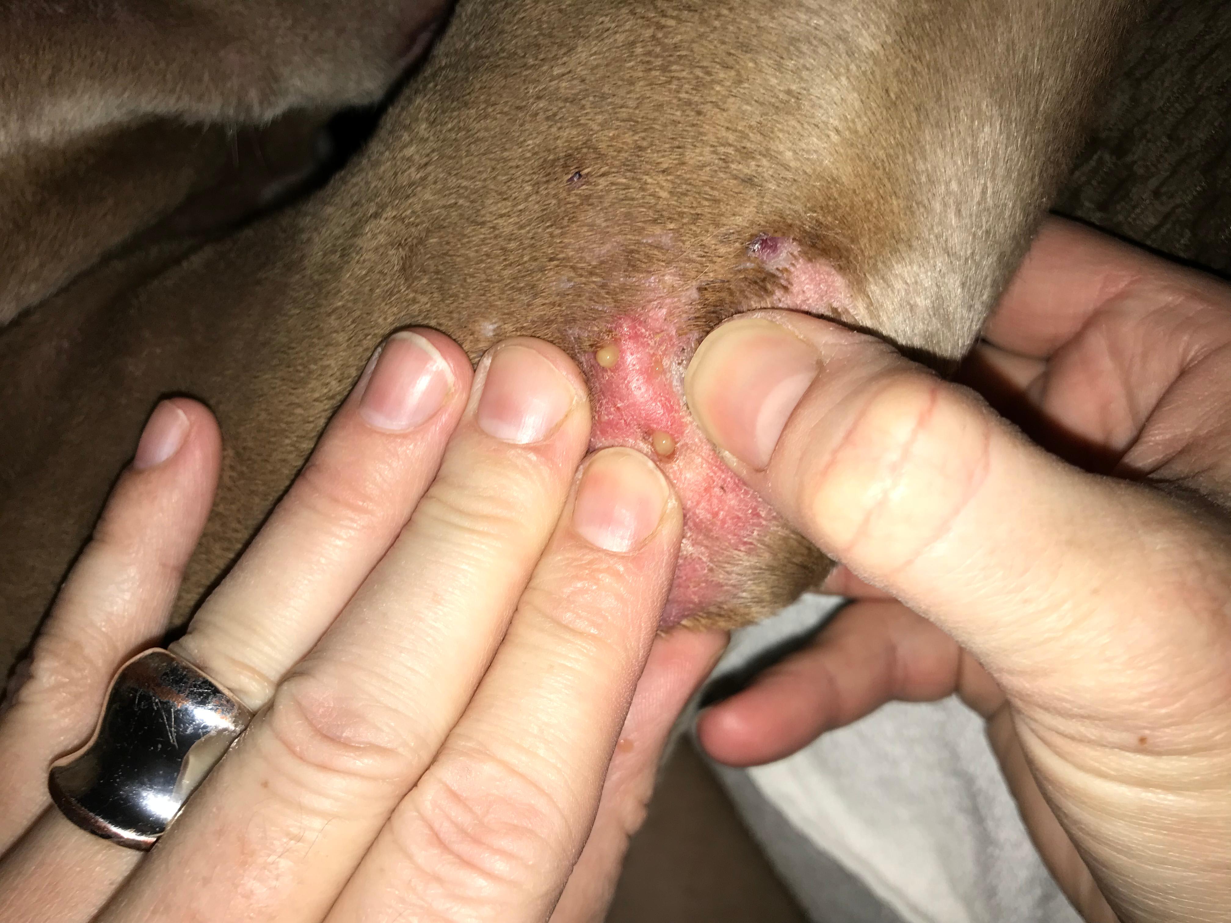 Question details sensitive content