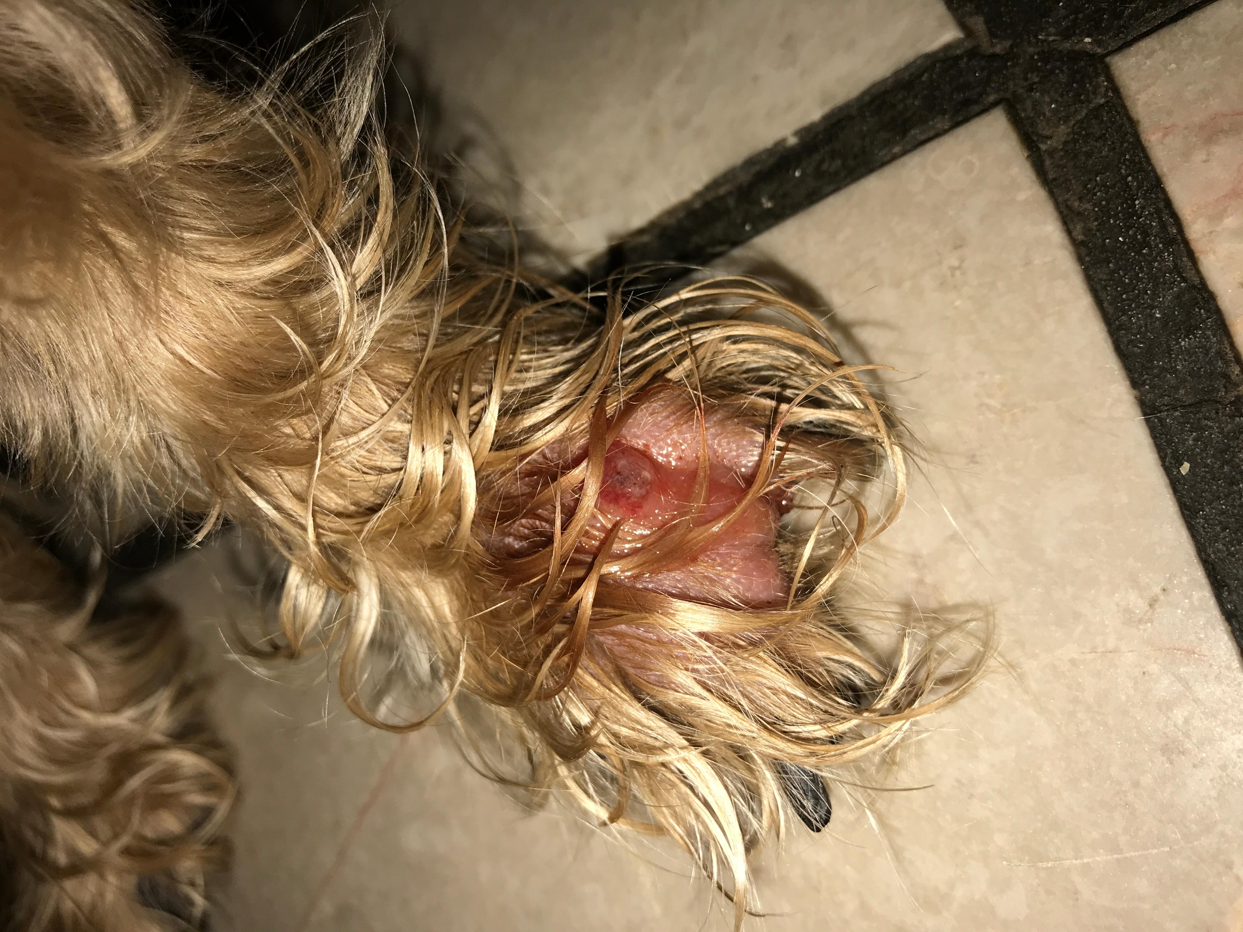 Question details sensitive content