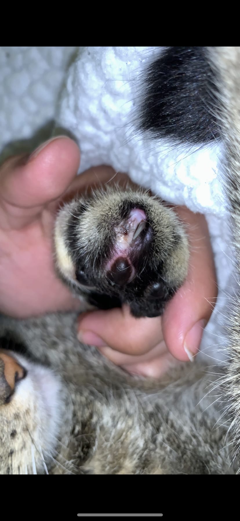 Question details sensitive content