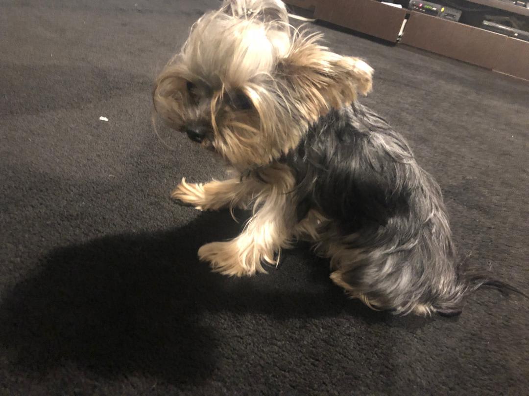 Question details sensitive content