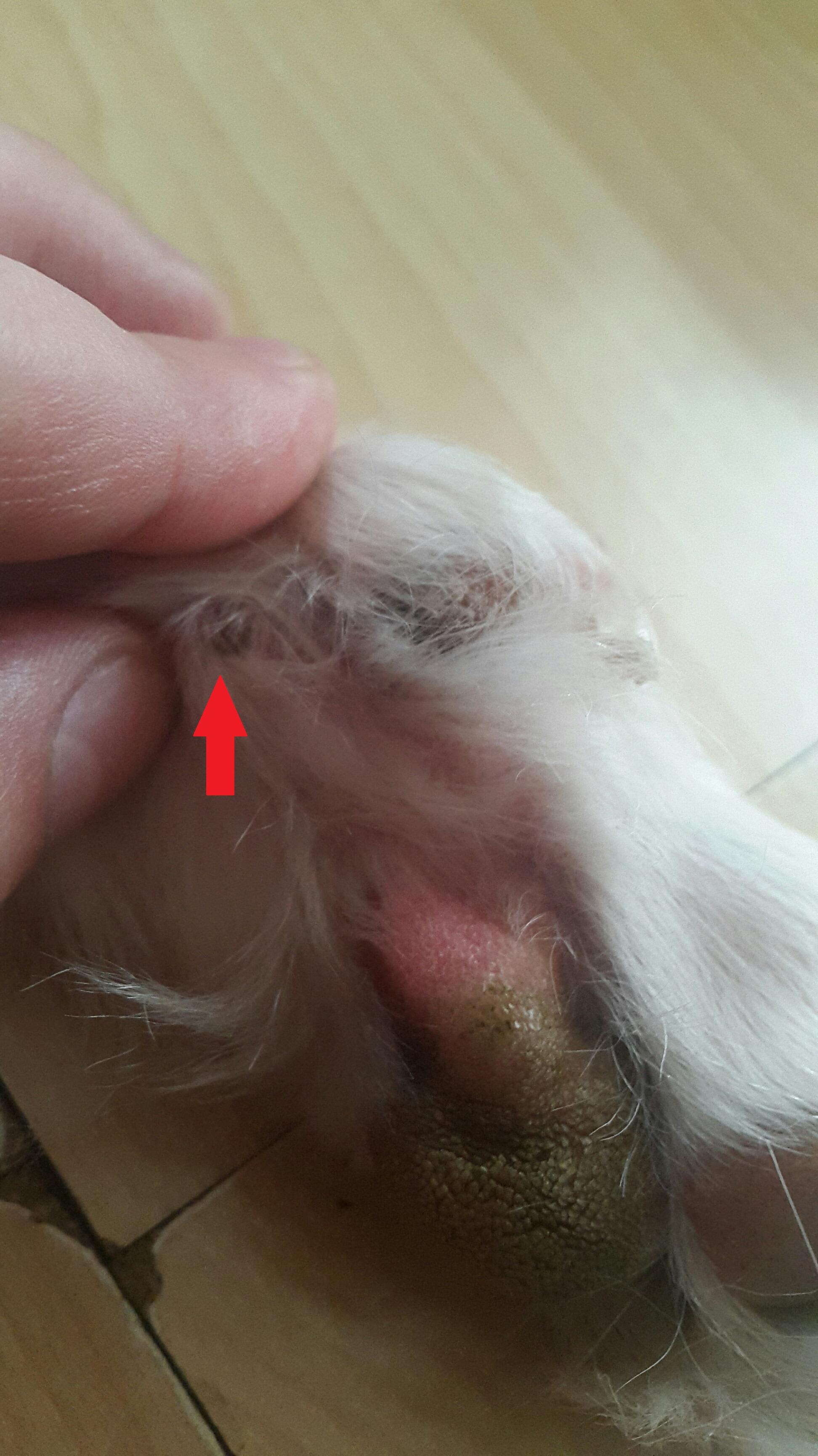 Question details sensitive content