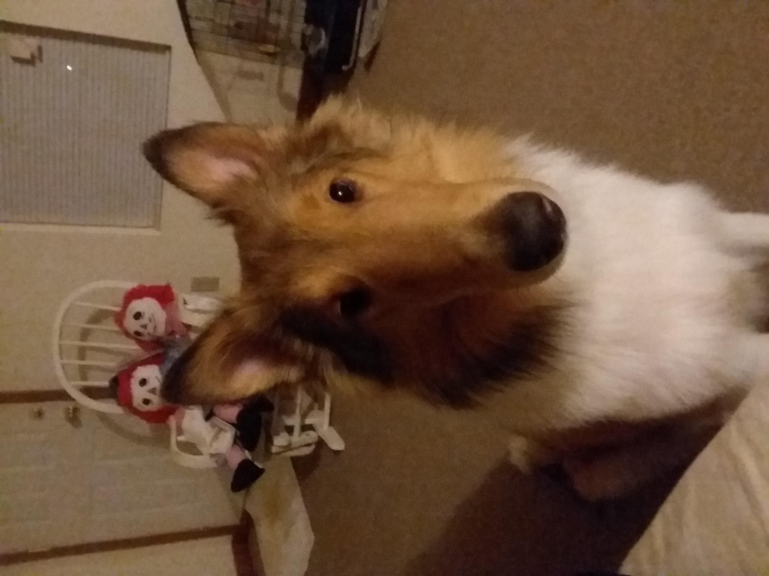 Question details sensitive content