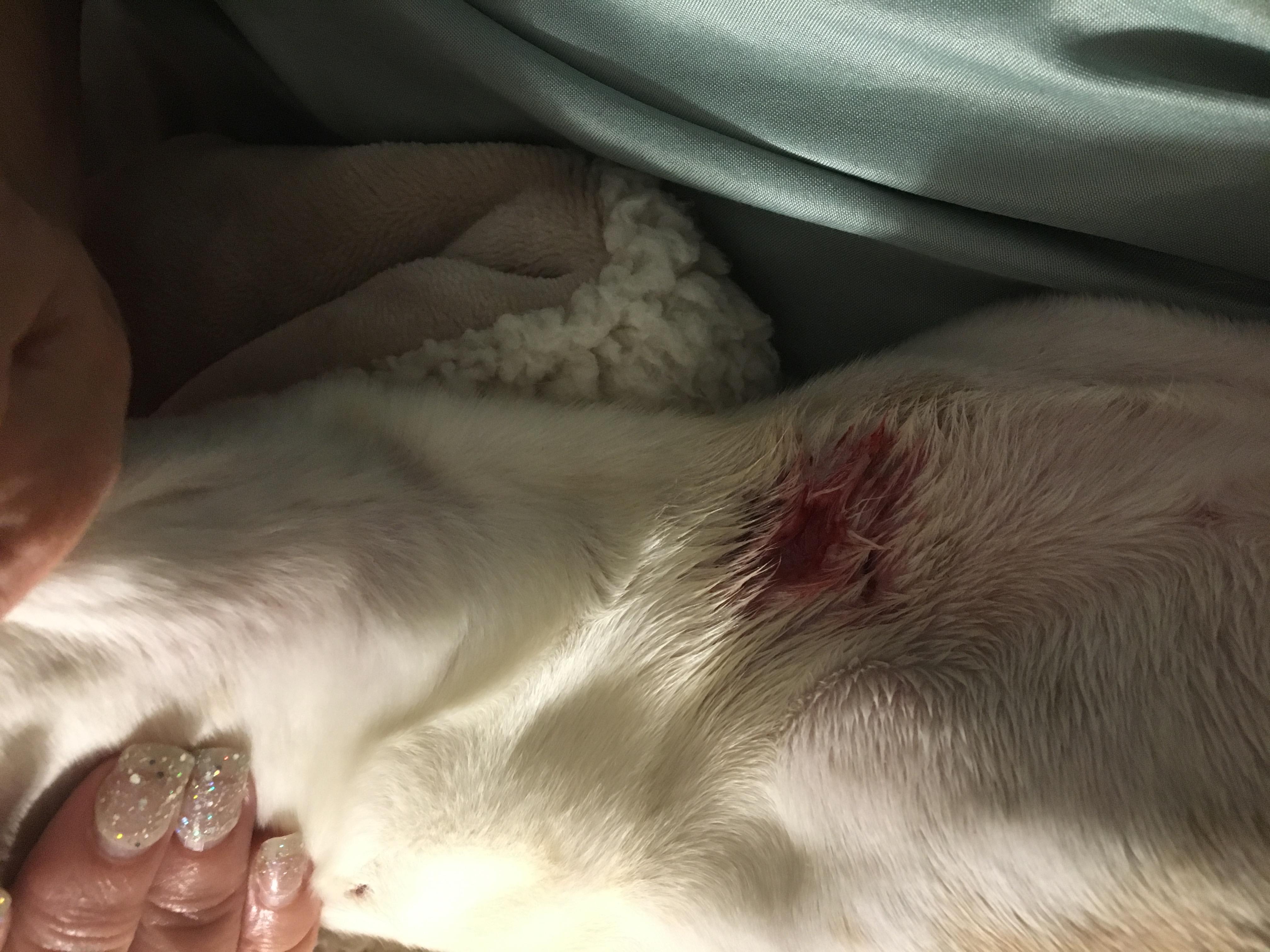 Question details sensitive content