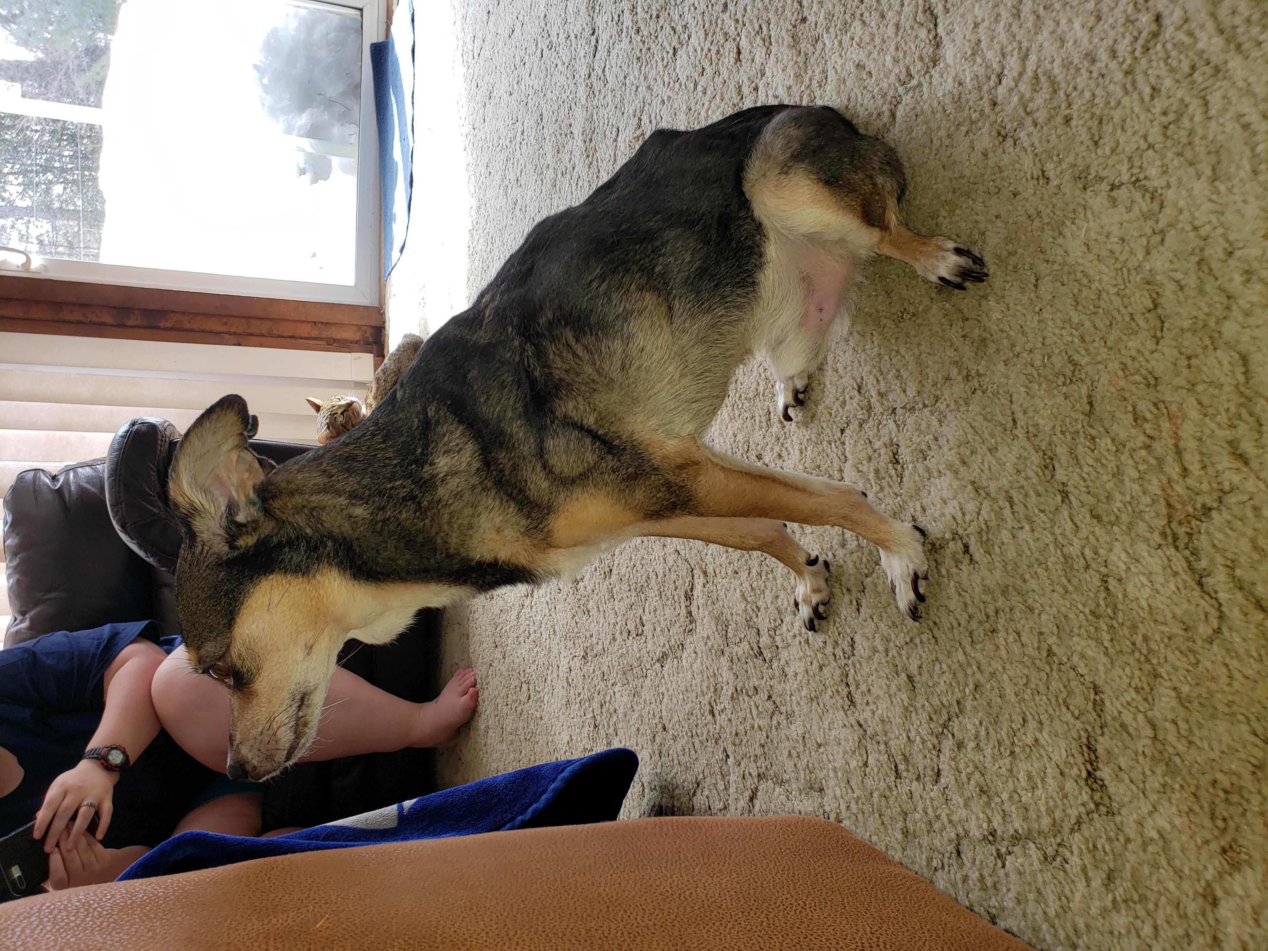 Question details sensitive content