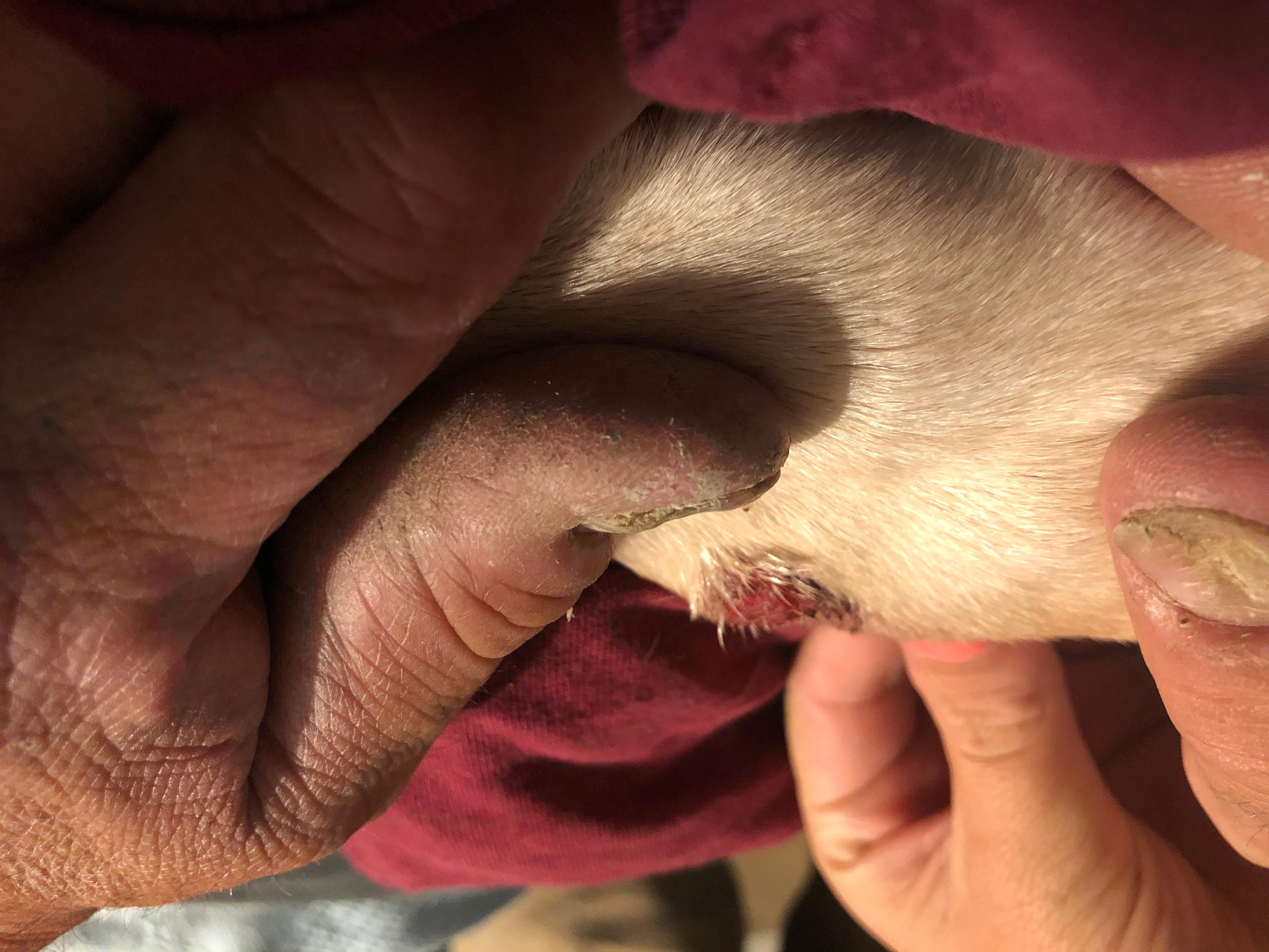 Question details sensitive content