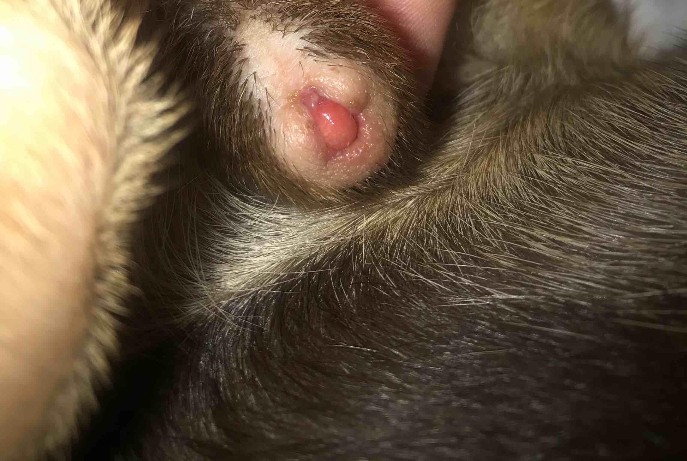 Question details sensitive content