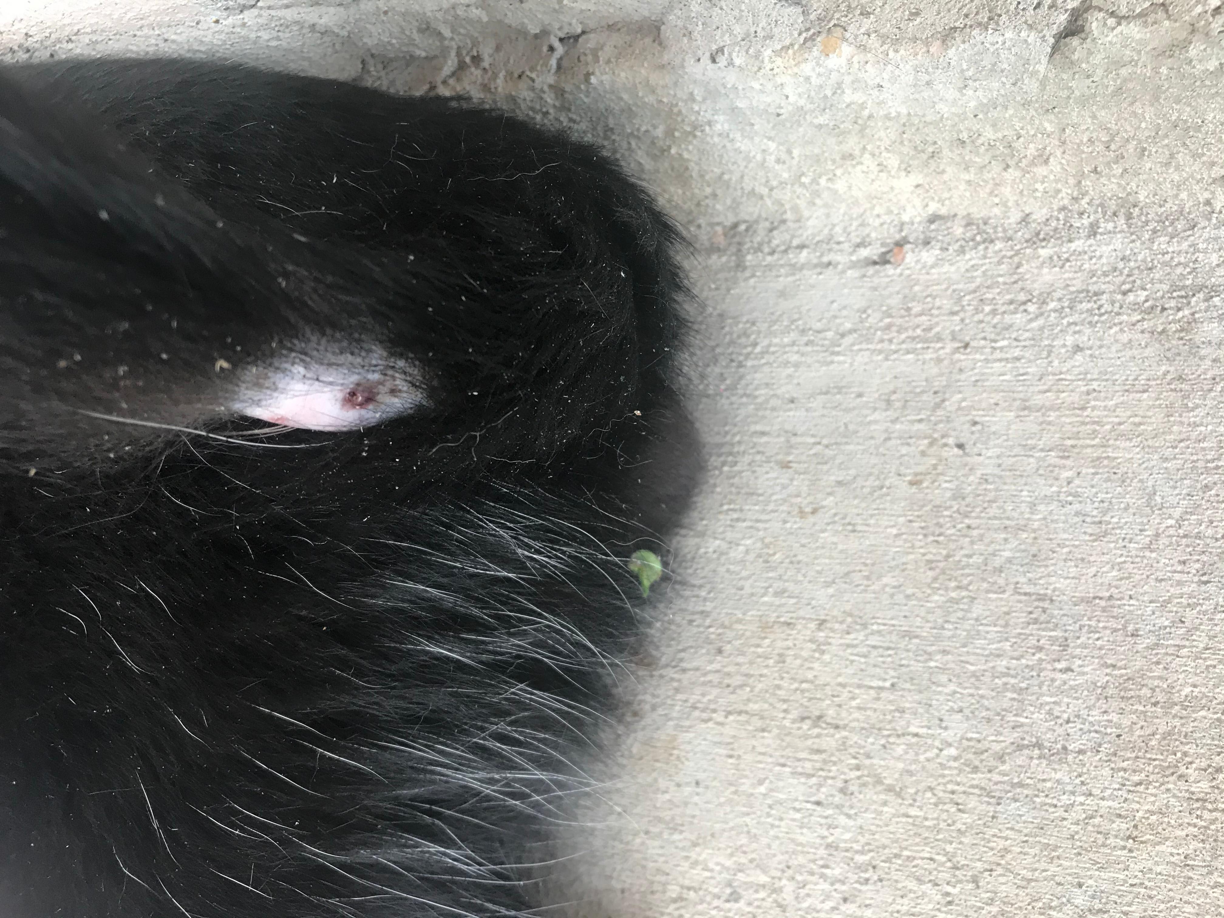 Question details sensitive content