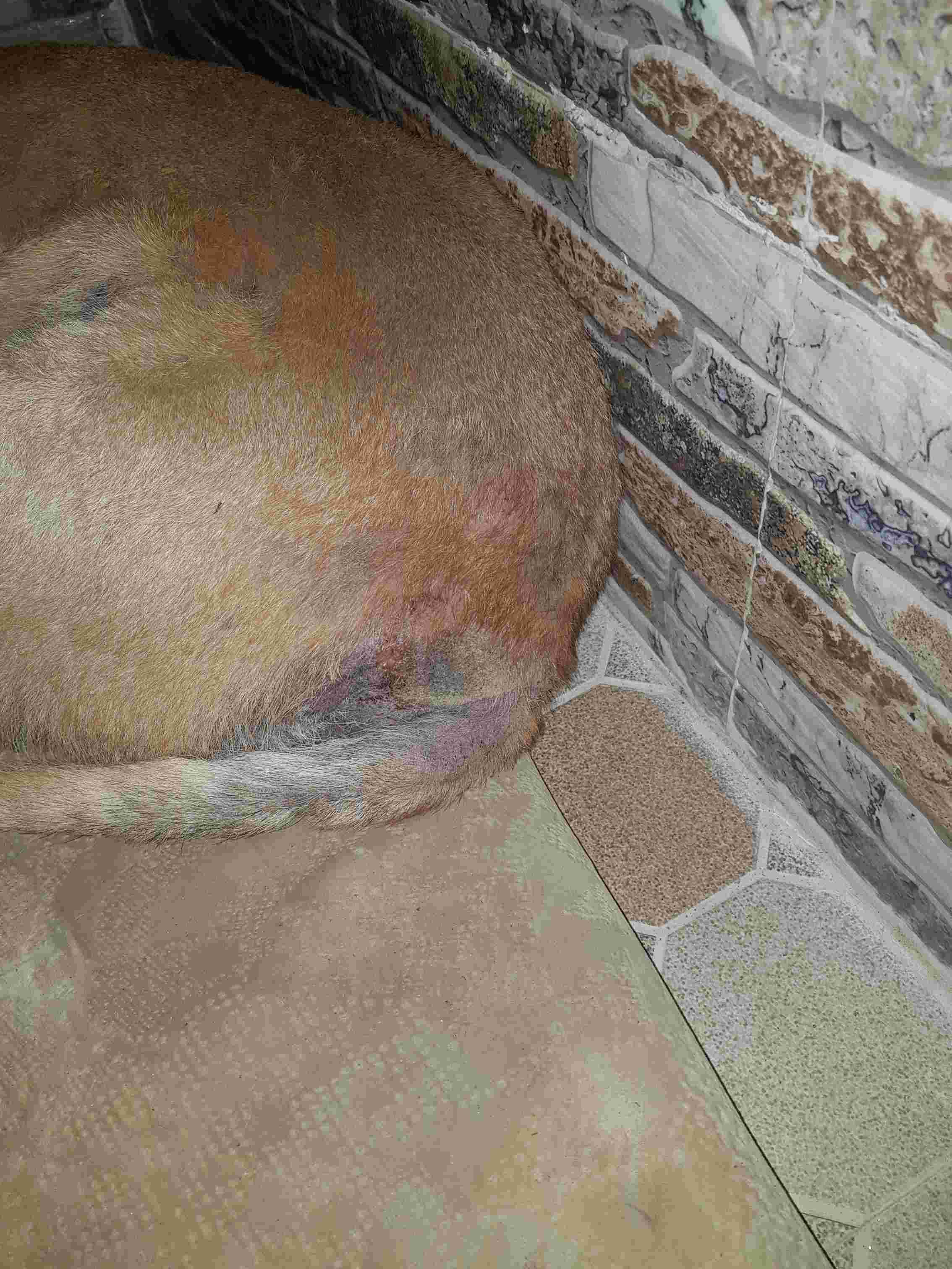 Question details sensitive content