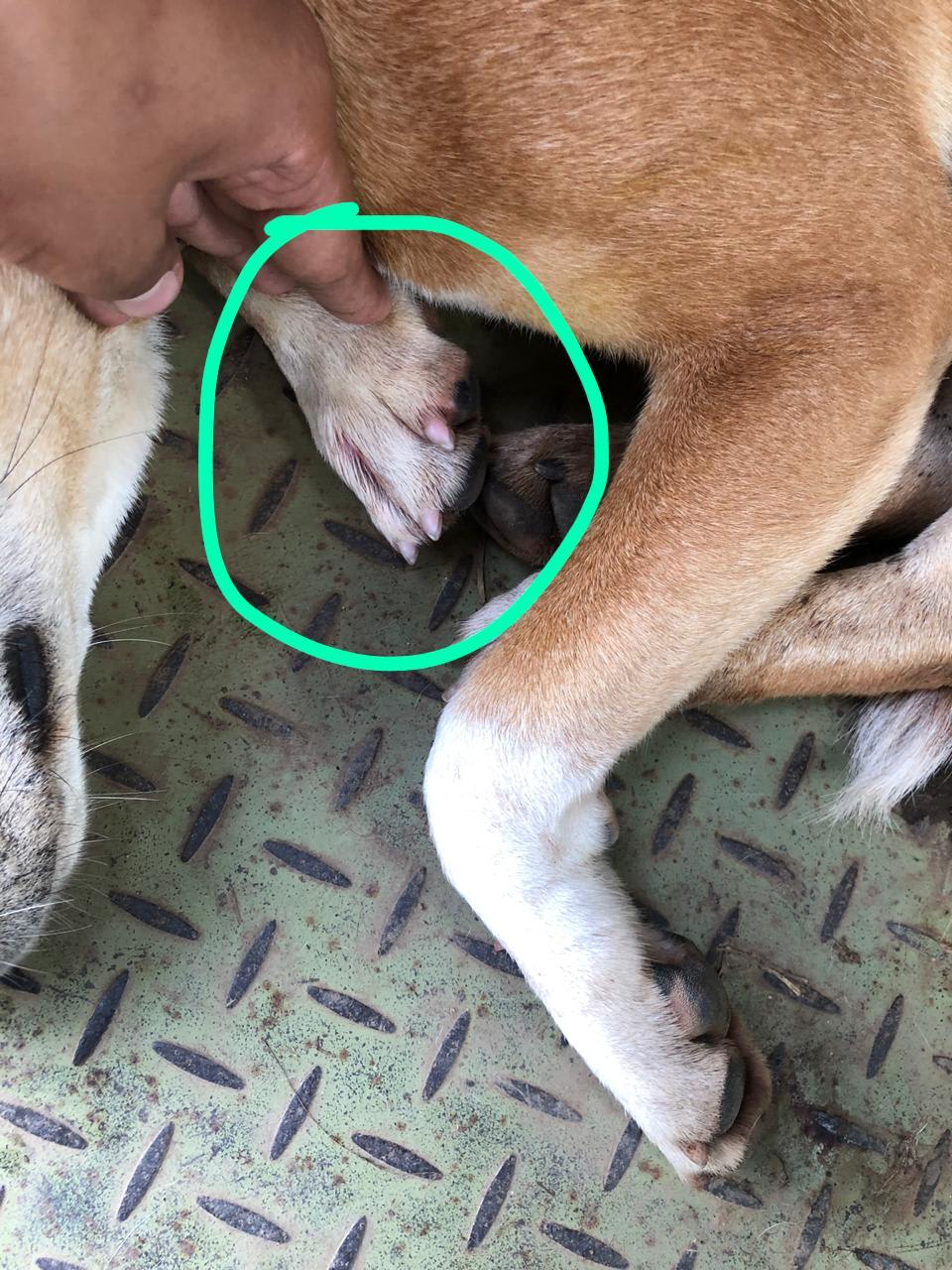 Question details sensitive content