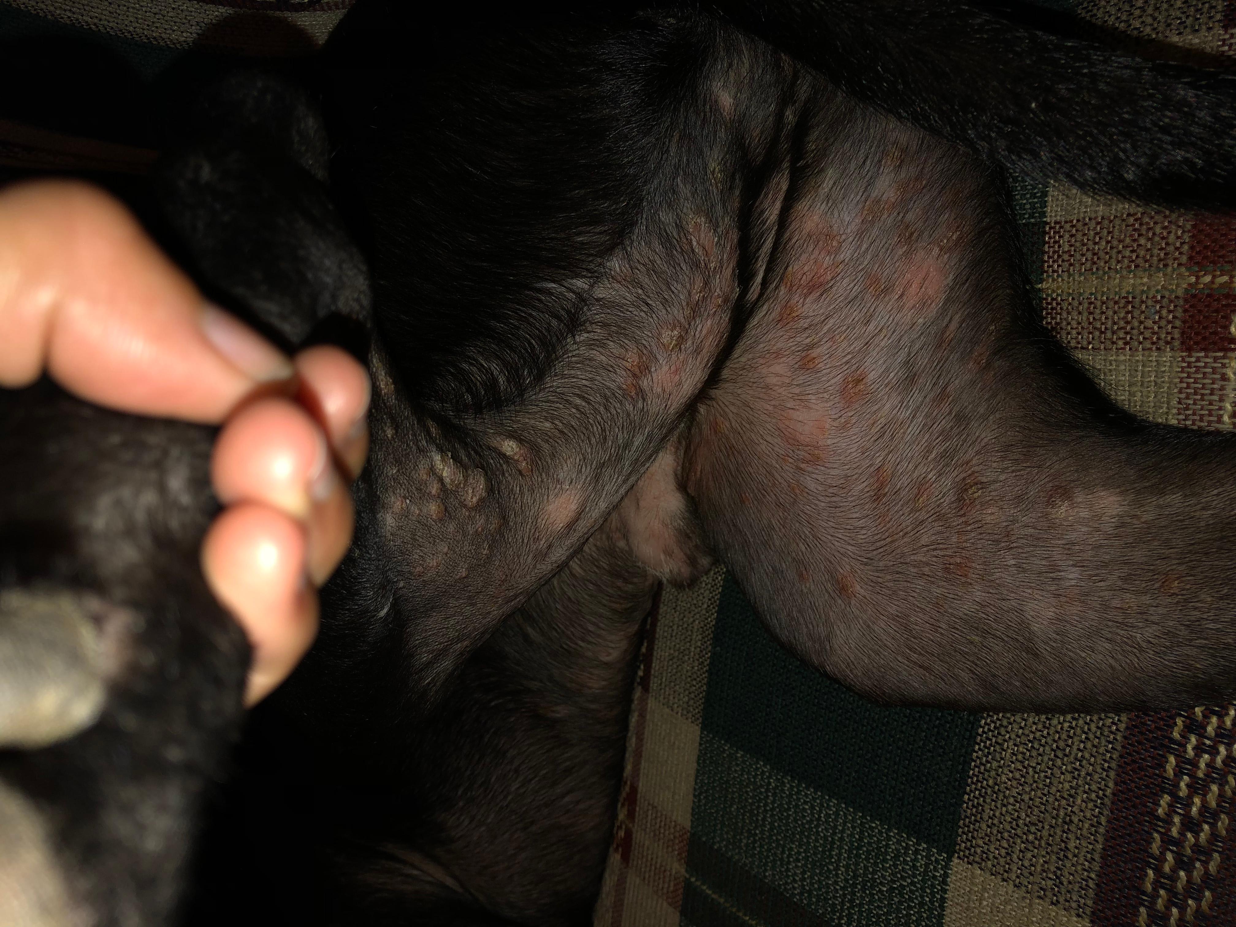 Question details sensitive content