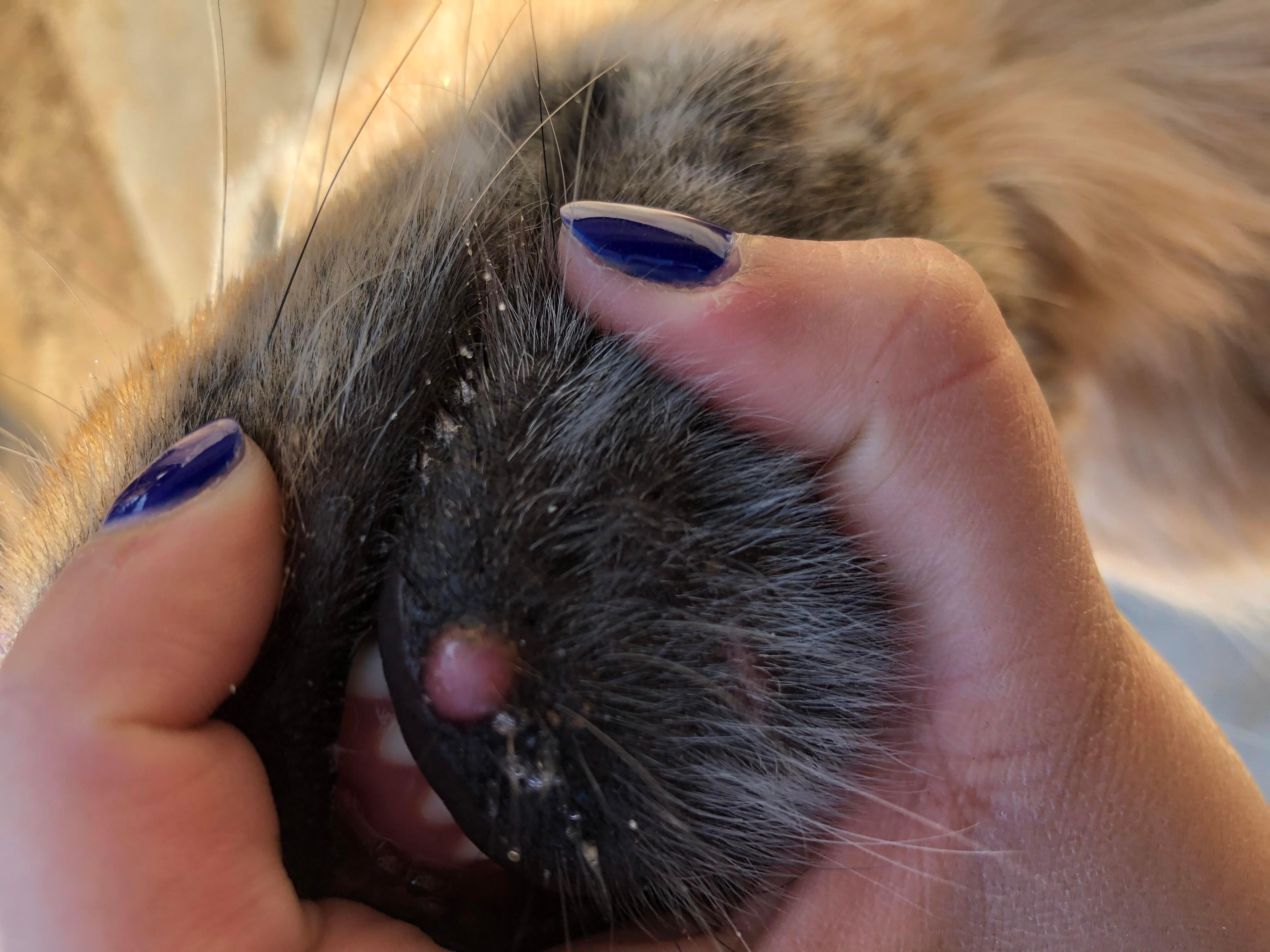 Question details sensitive content