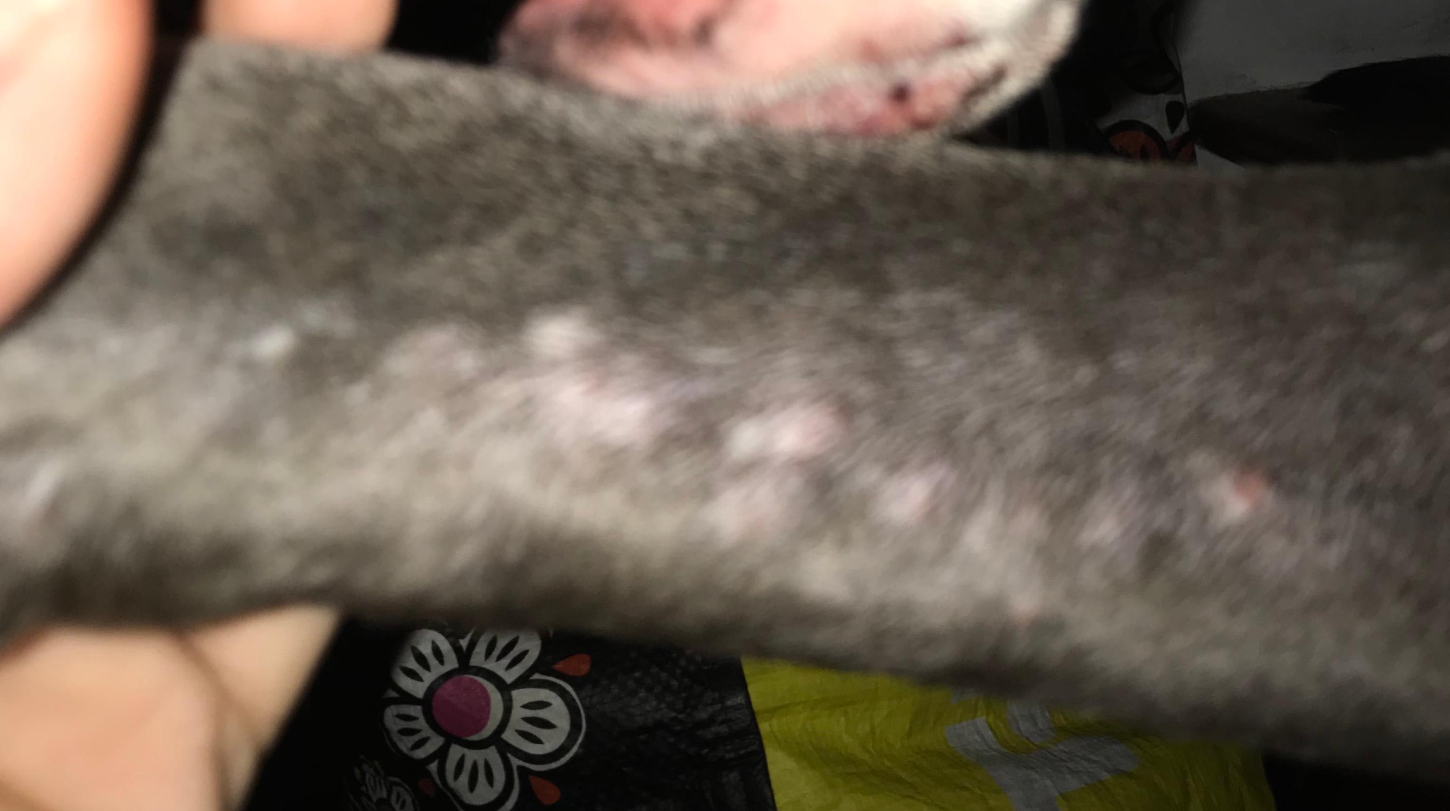 Question details sensitive content