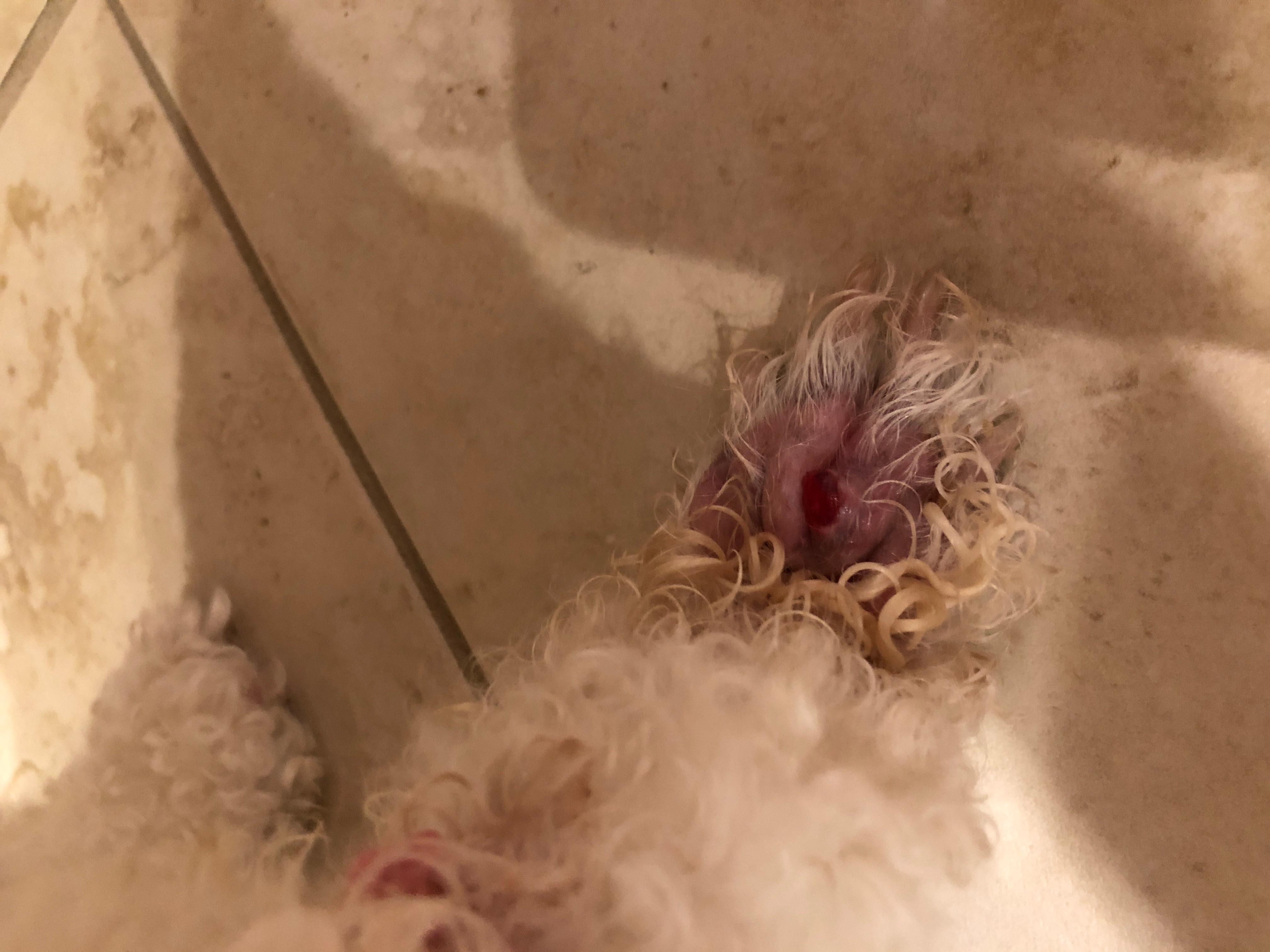 Question details sensitive content