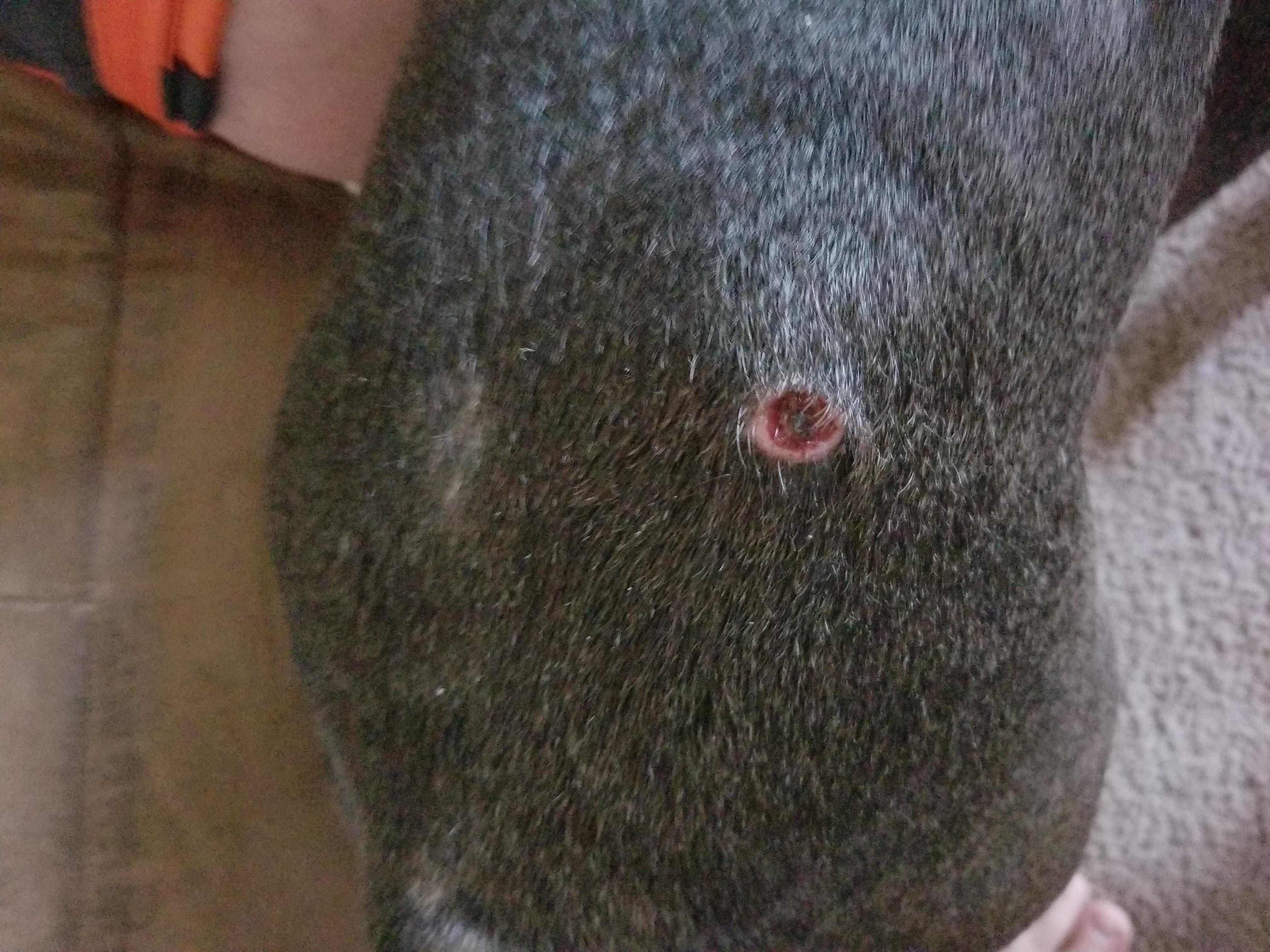 Question details sensitive content