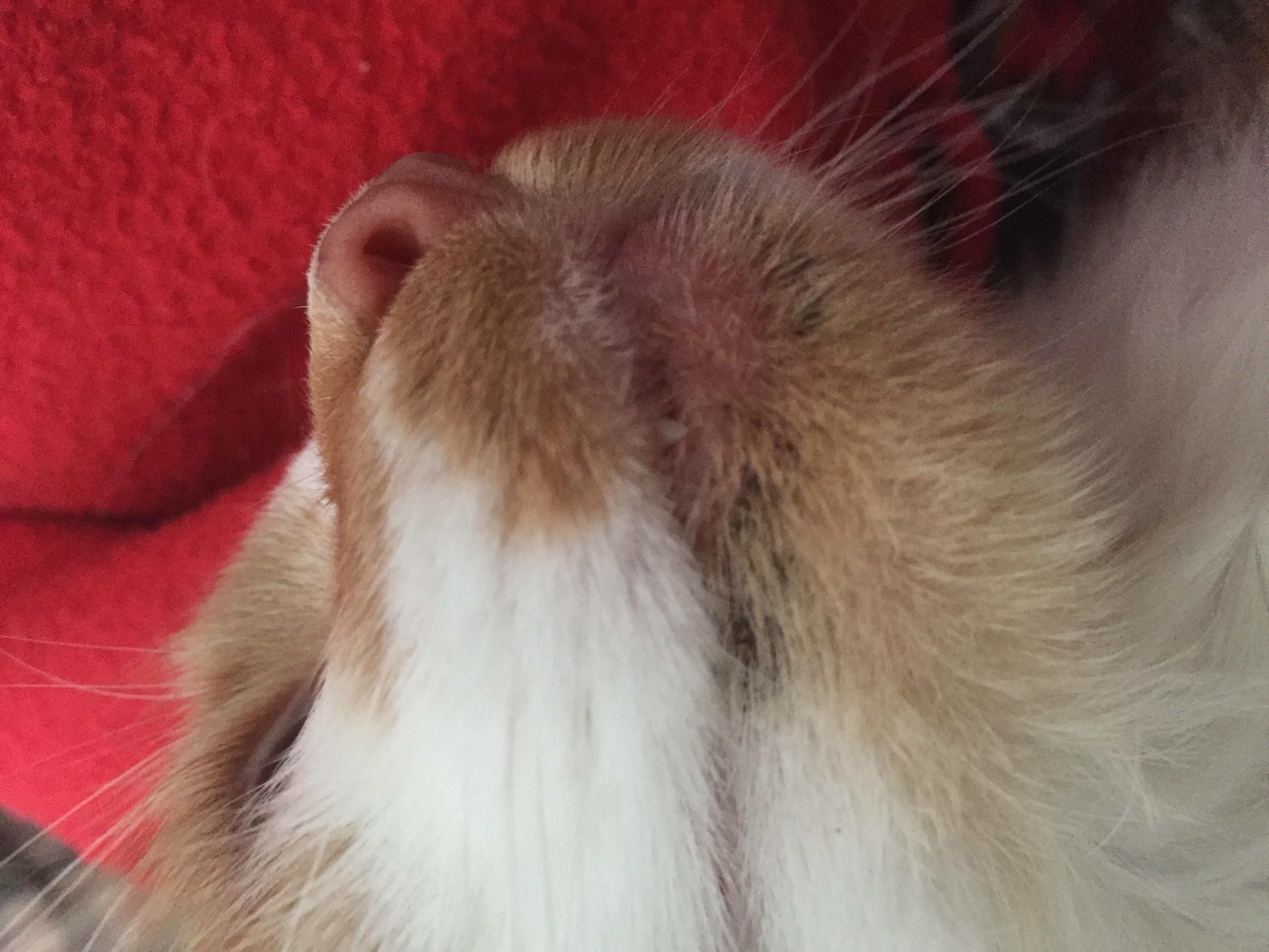 Question details sensitive content