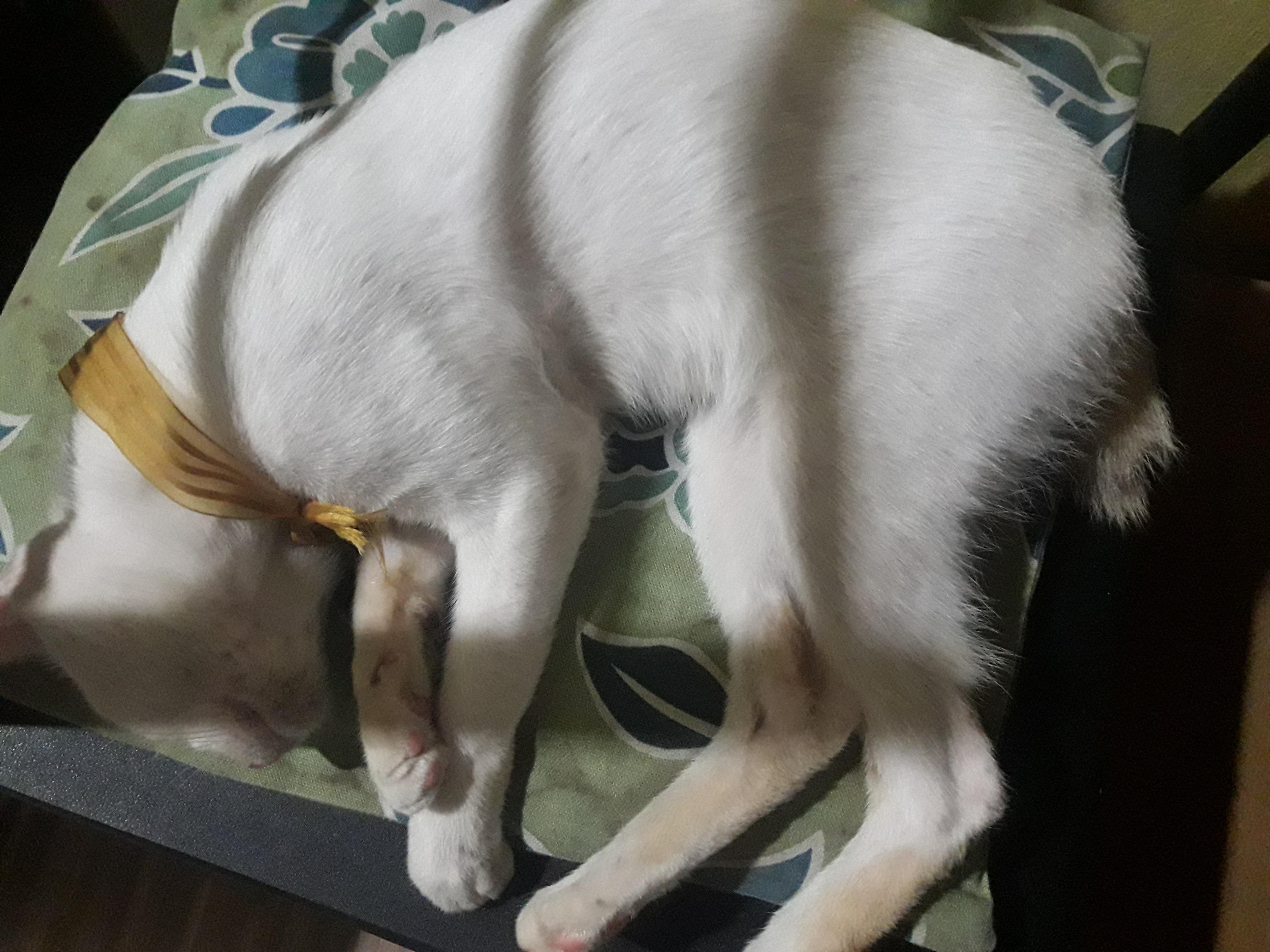 Question details sensitive content