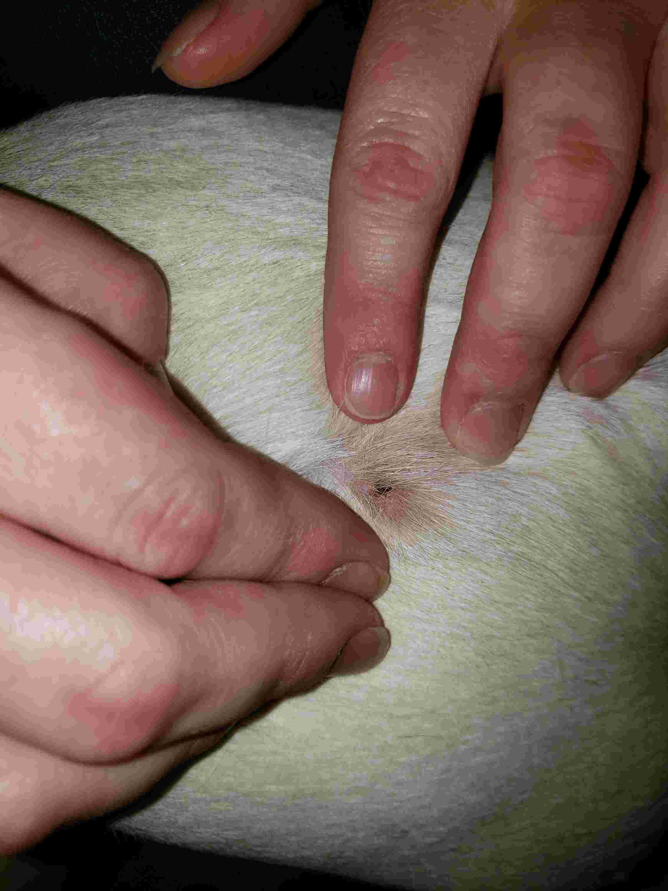 Question details sensitive content