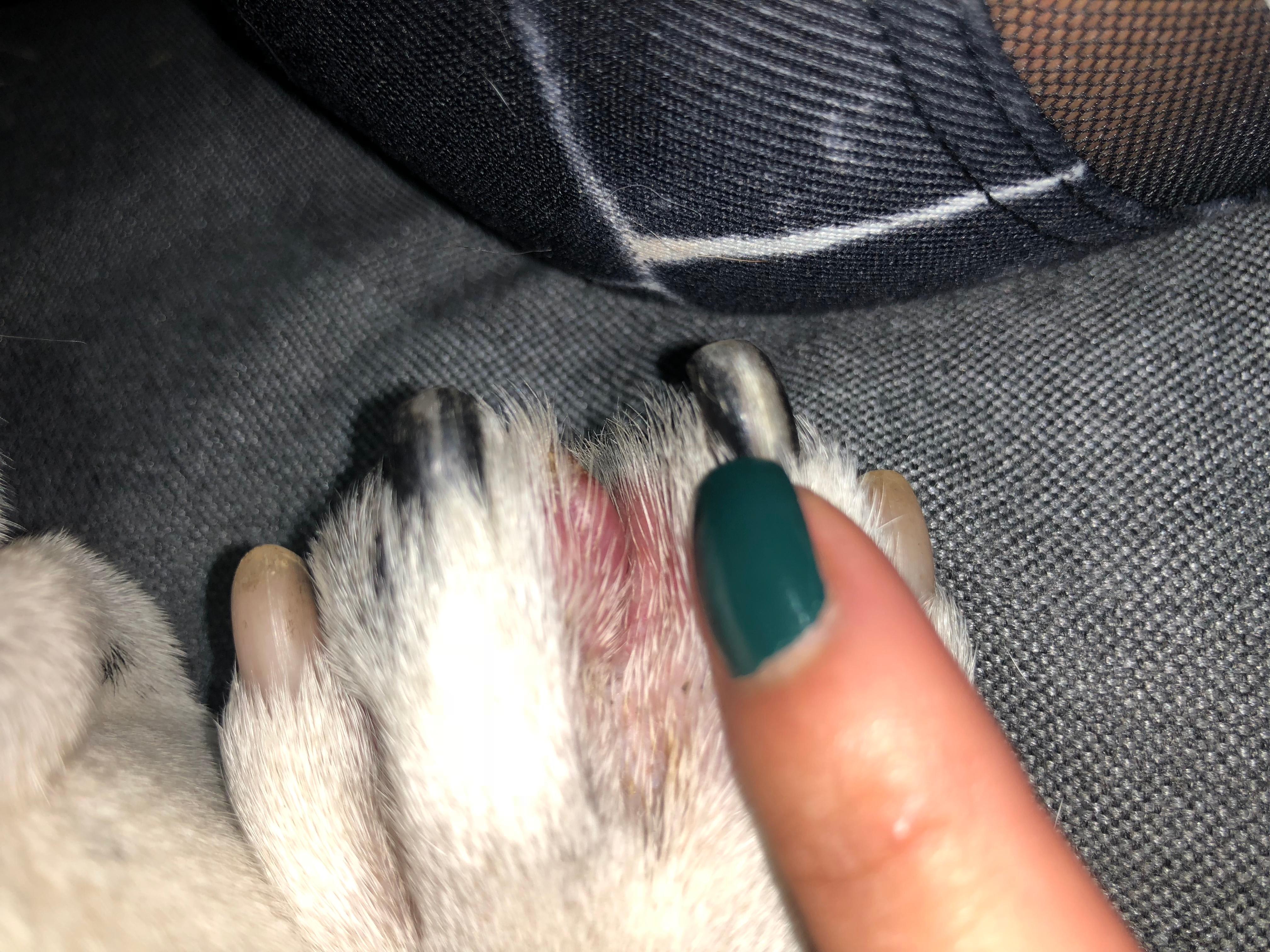 Question details sensitive content