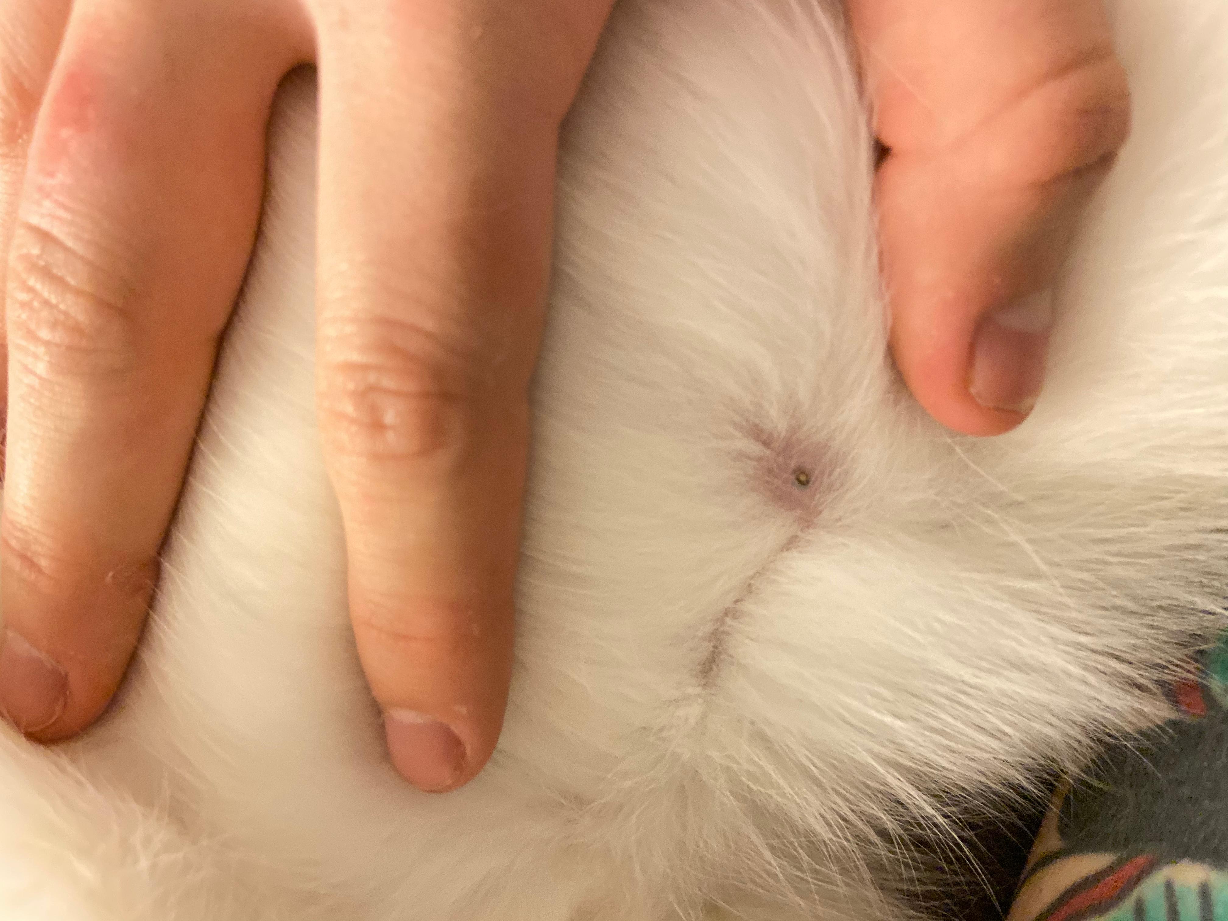 Question details sensitive content