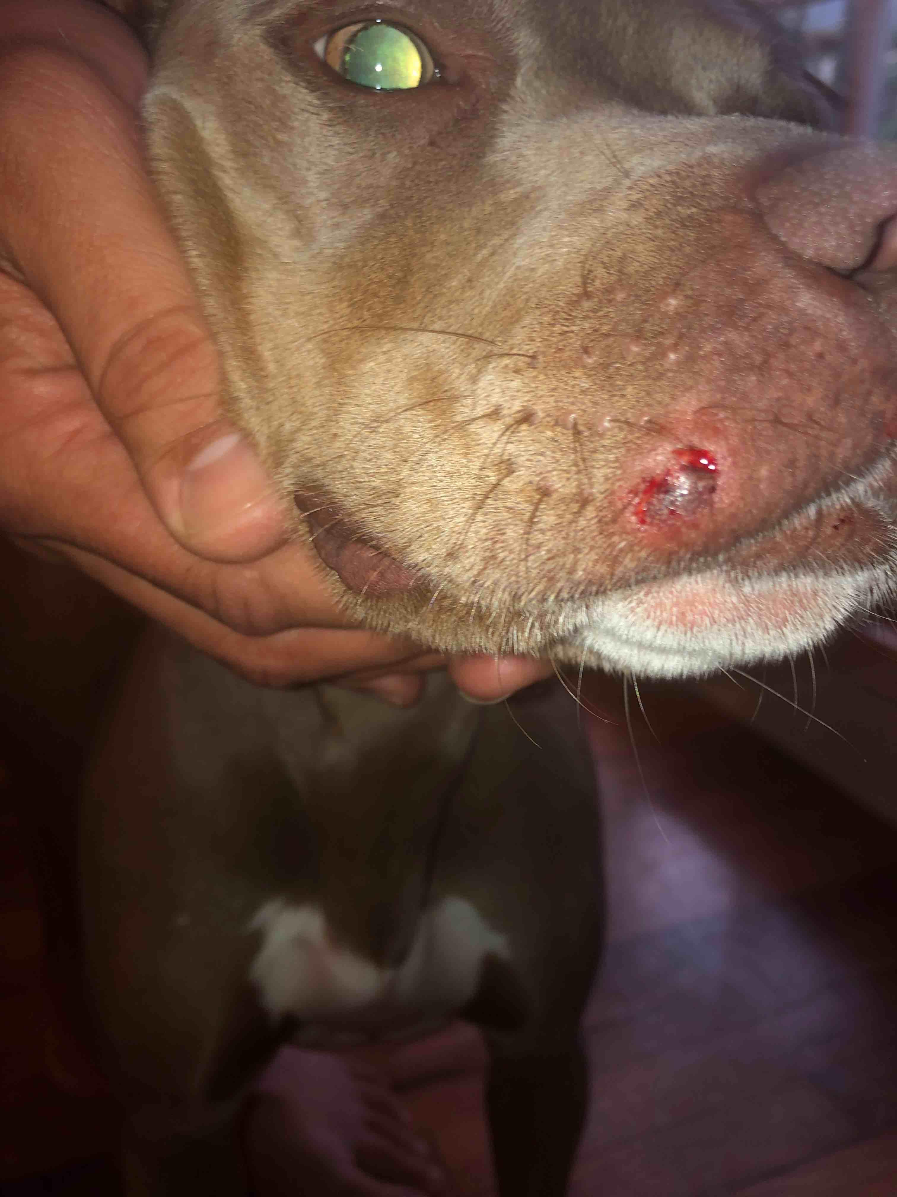 Question details sensitive content