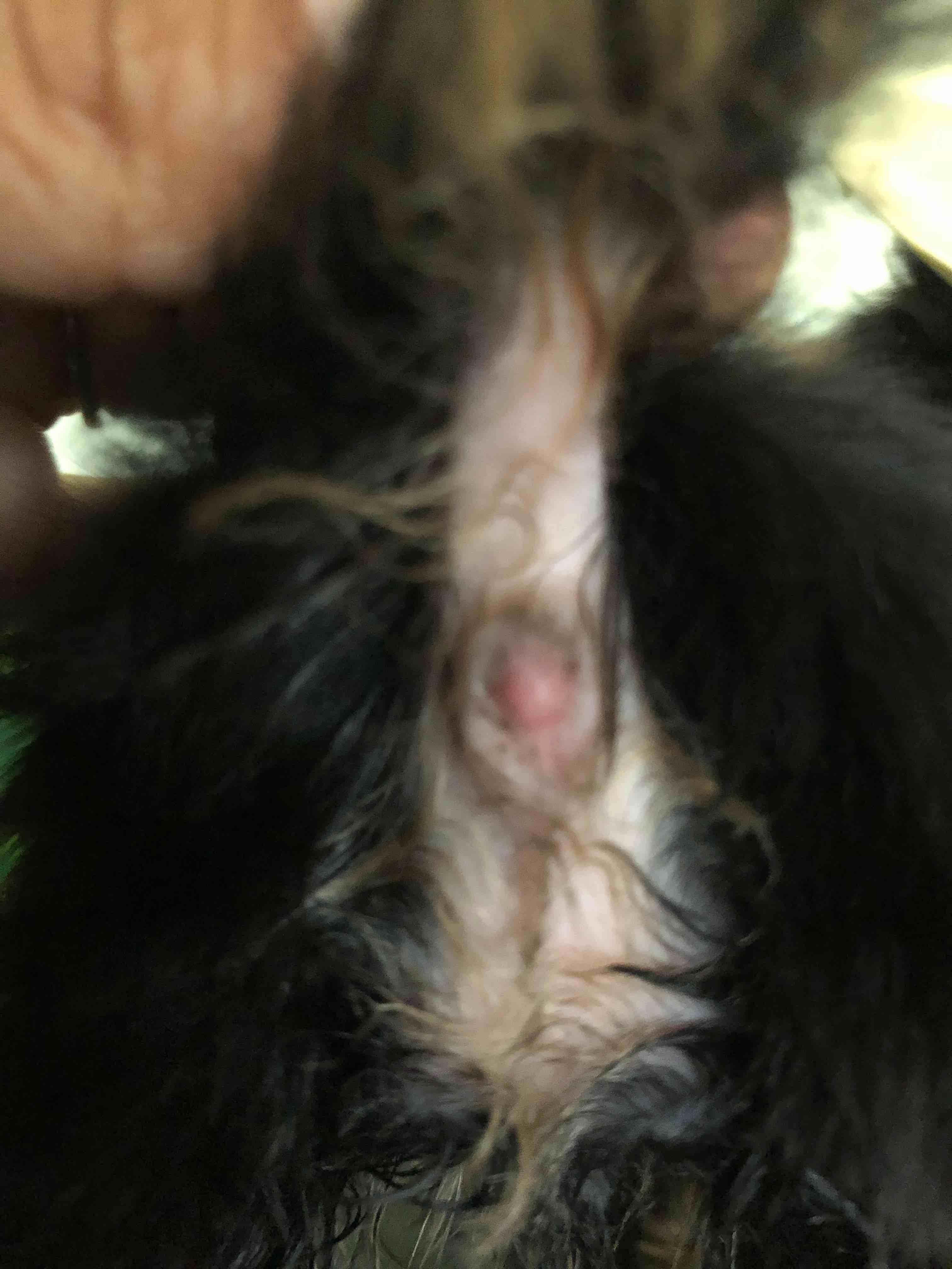 Question details sensitive content