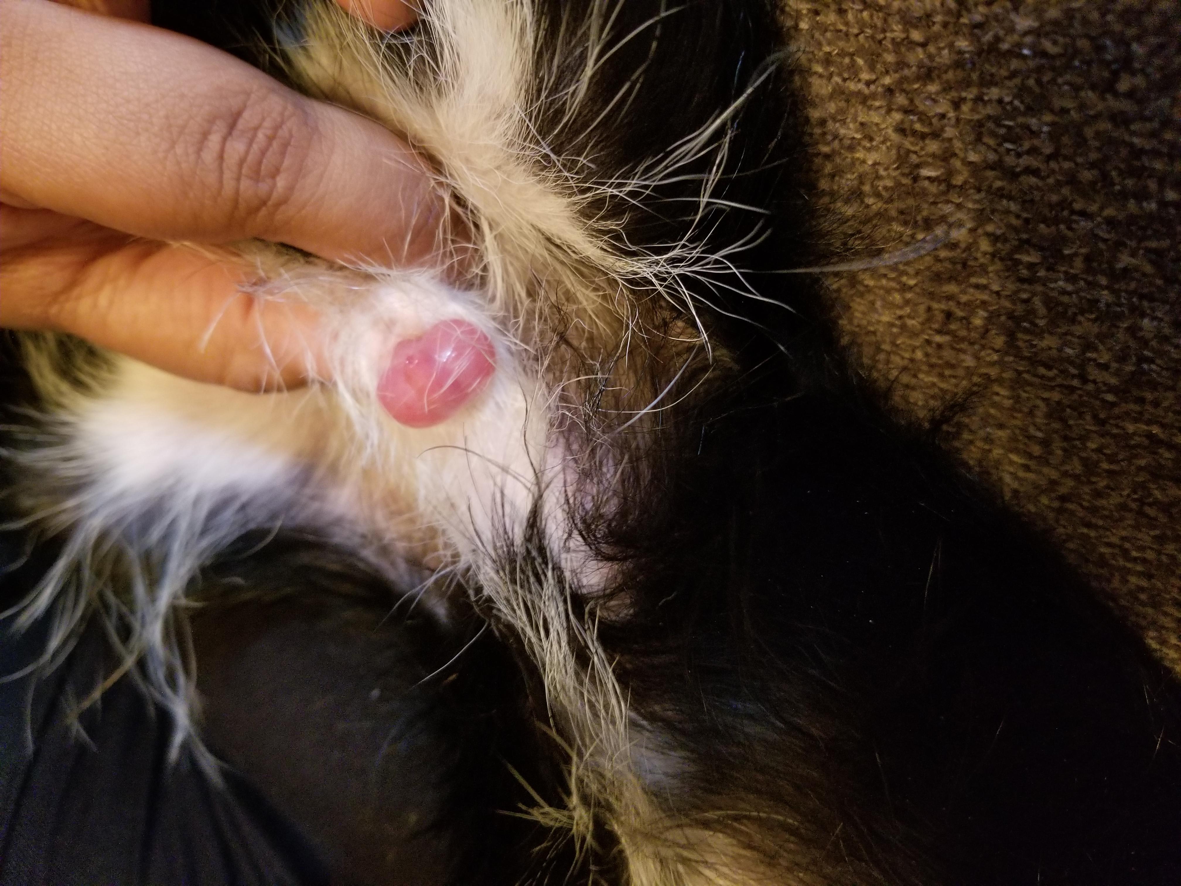 Question details sensitive content