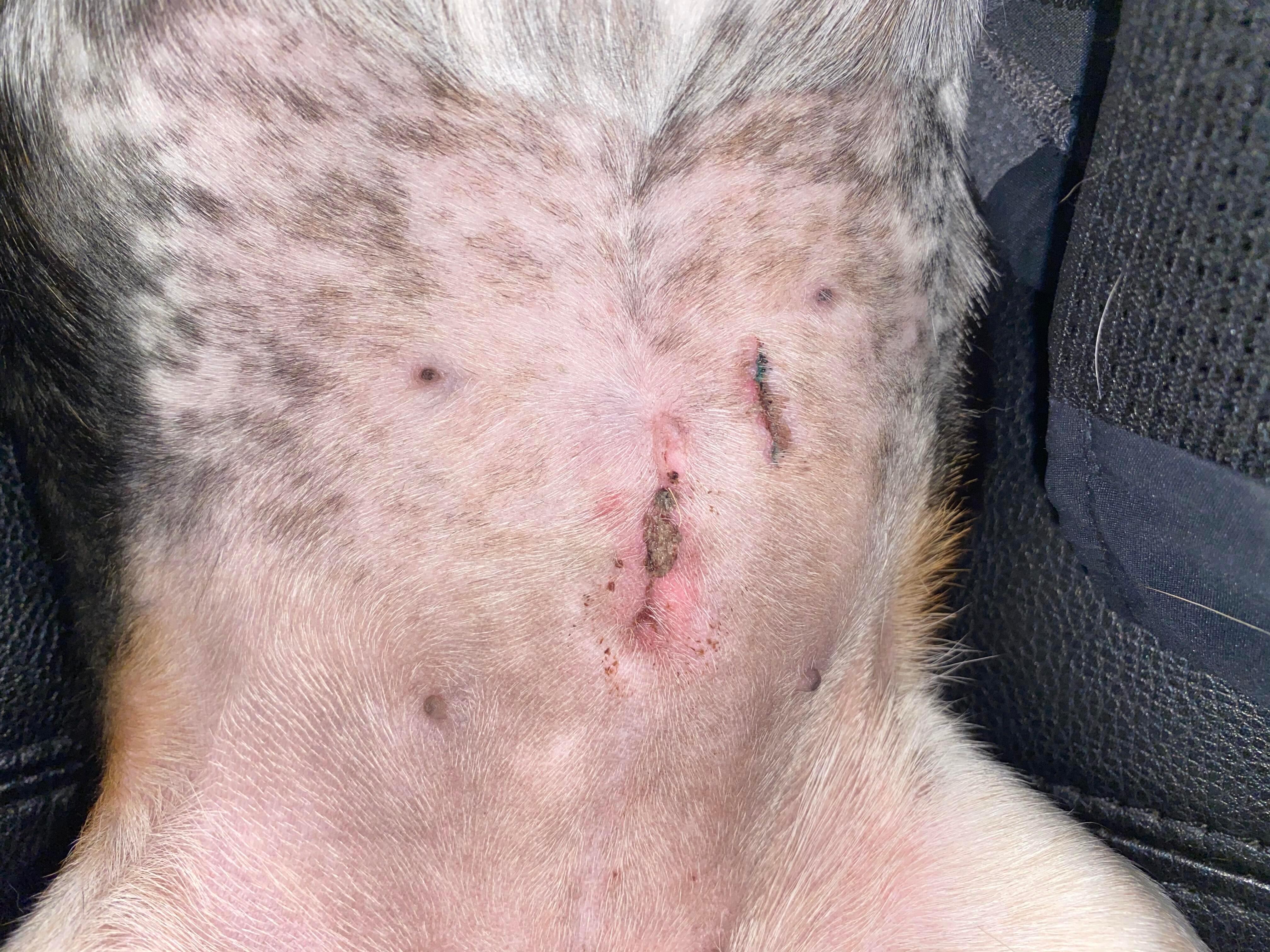 Question details sensitive content