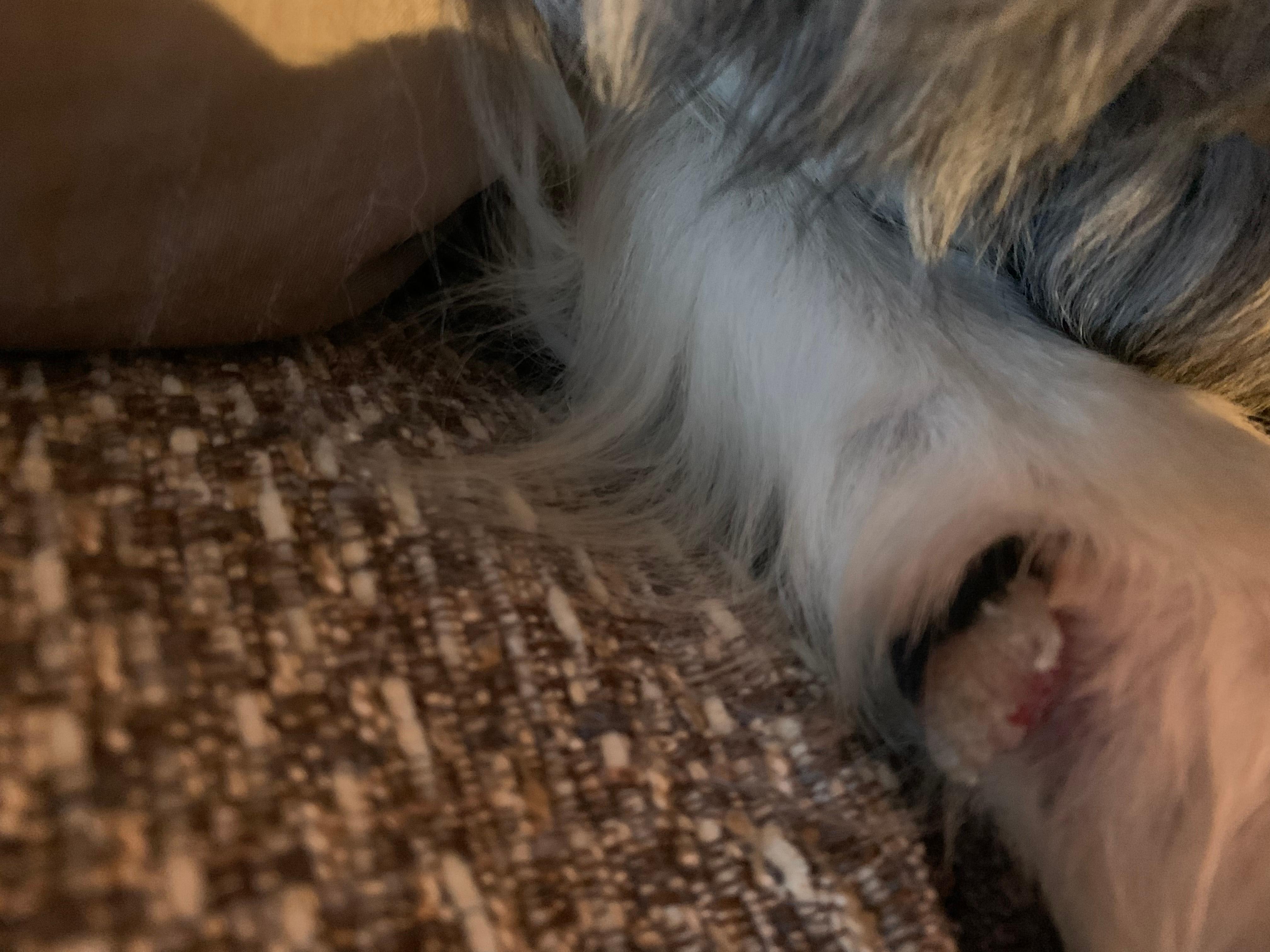 Question details sensitive content