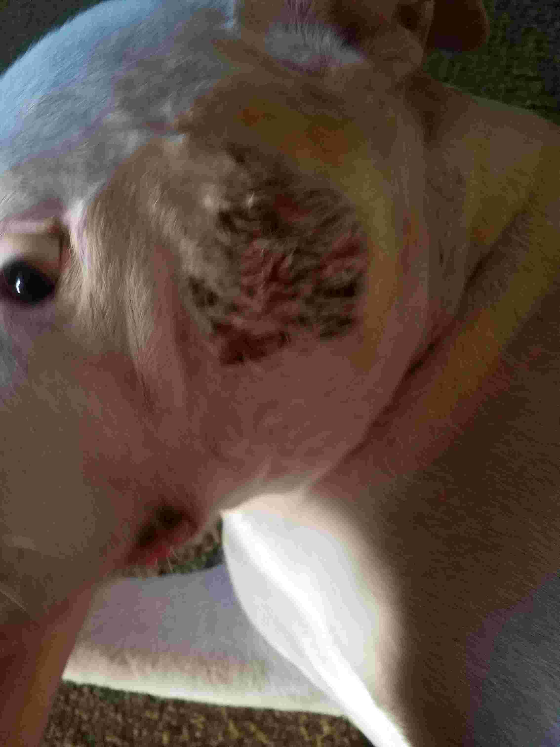 Question details sensitive content