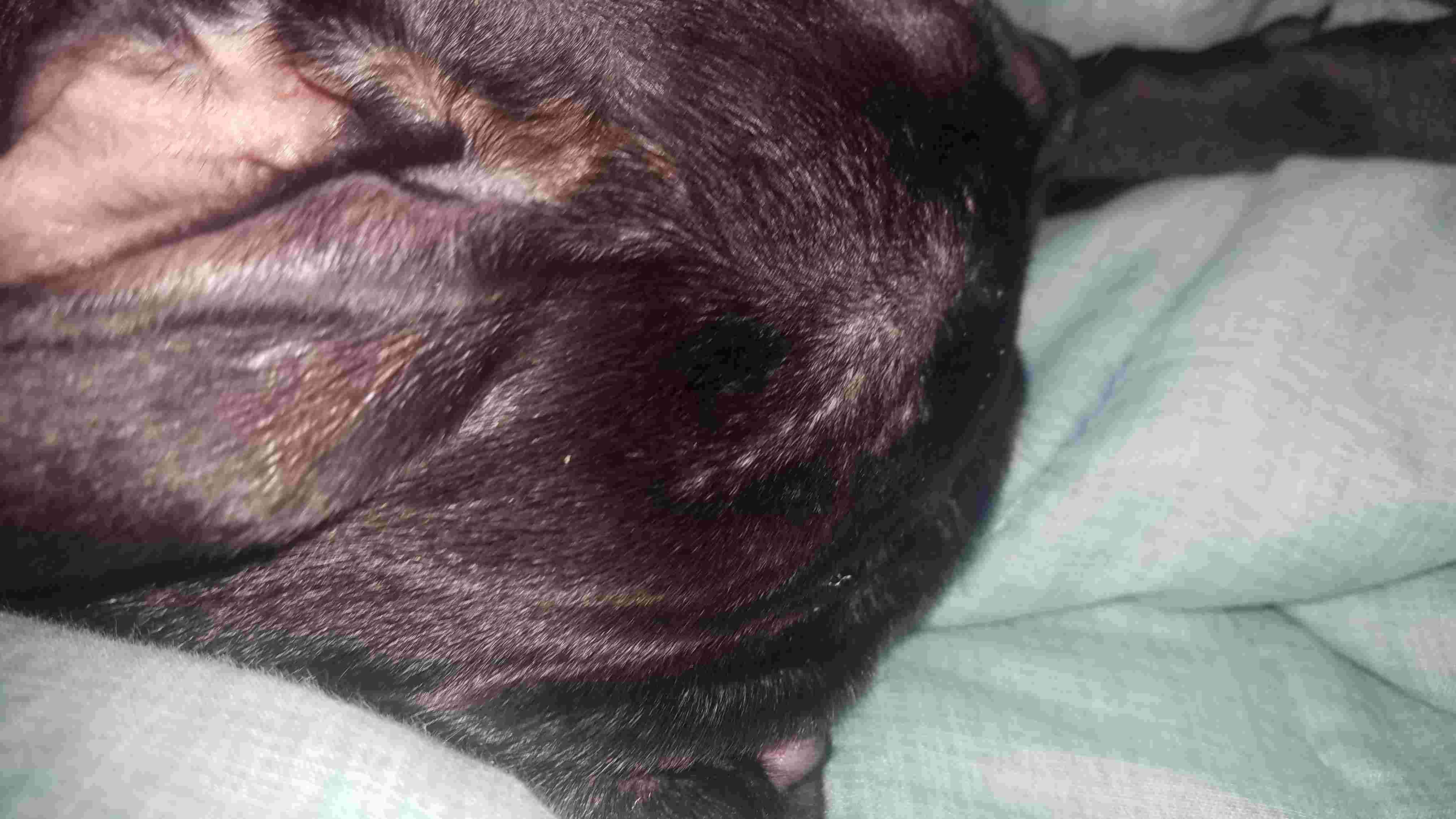 Question details sensitive content