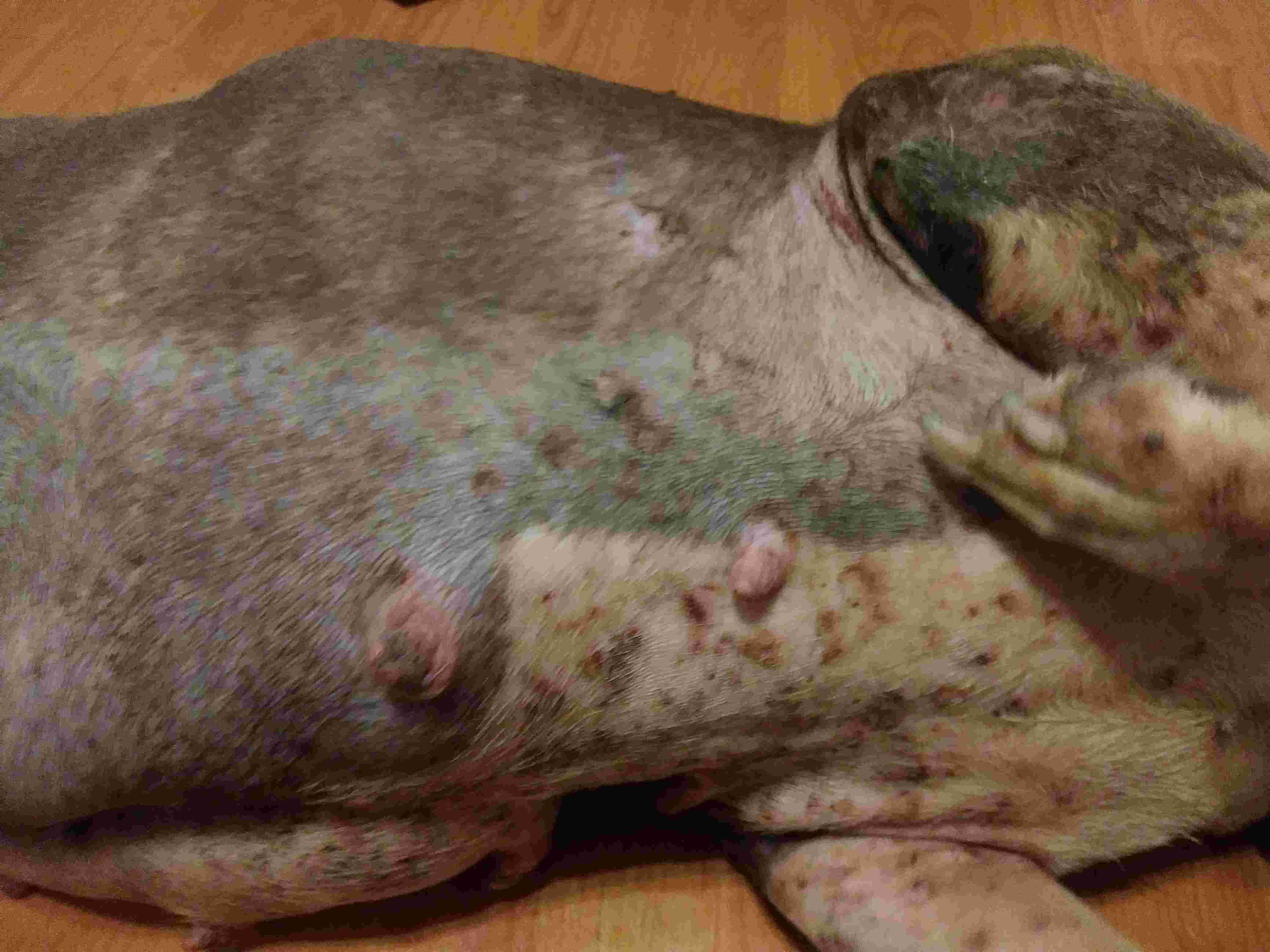 Question details sensitive content