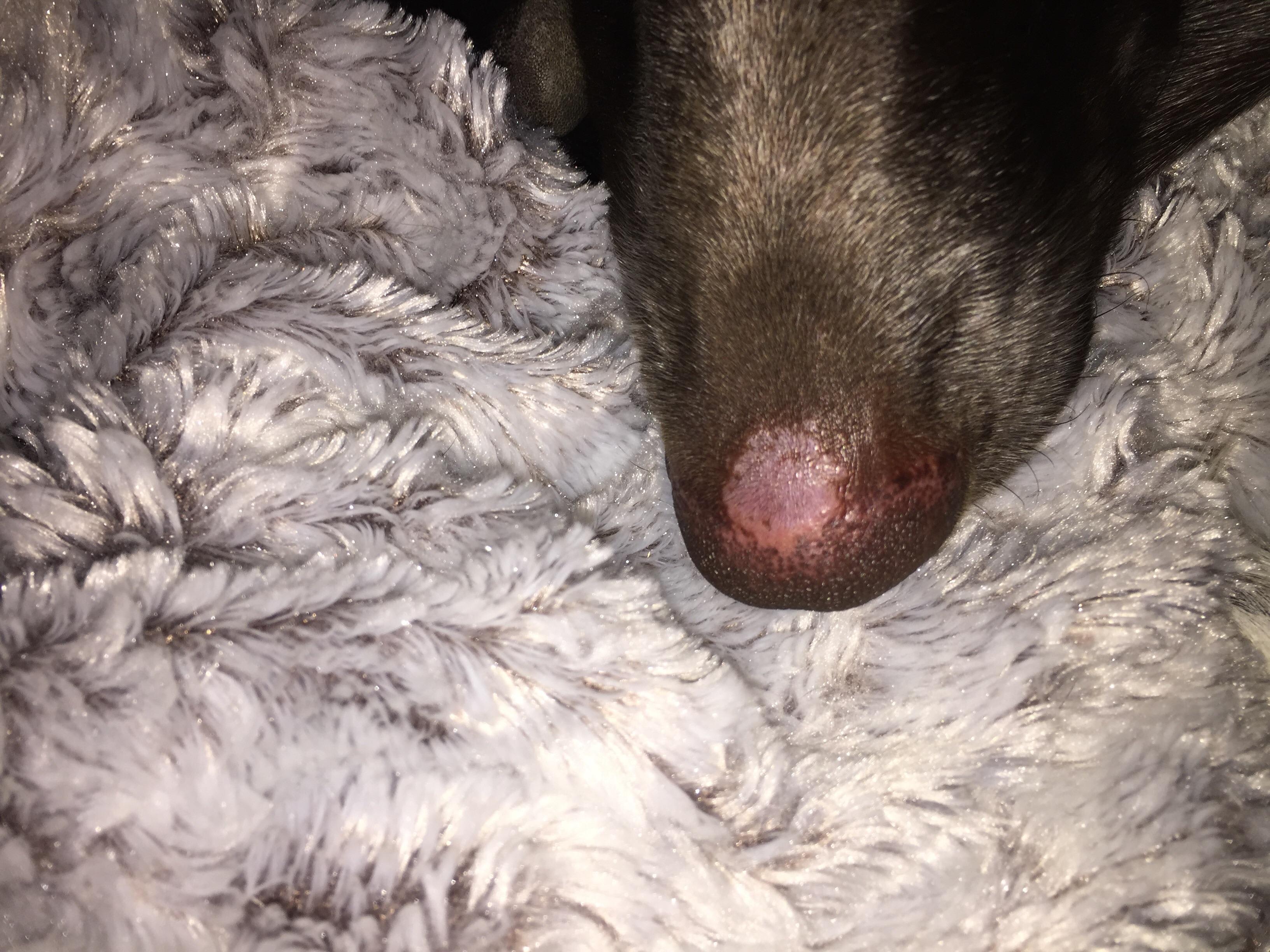 Question details sensitive content