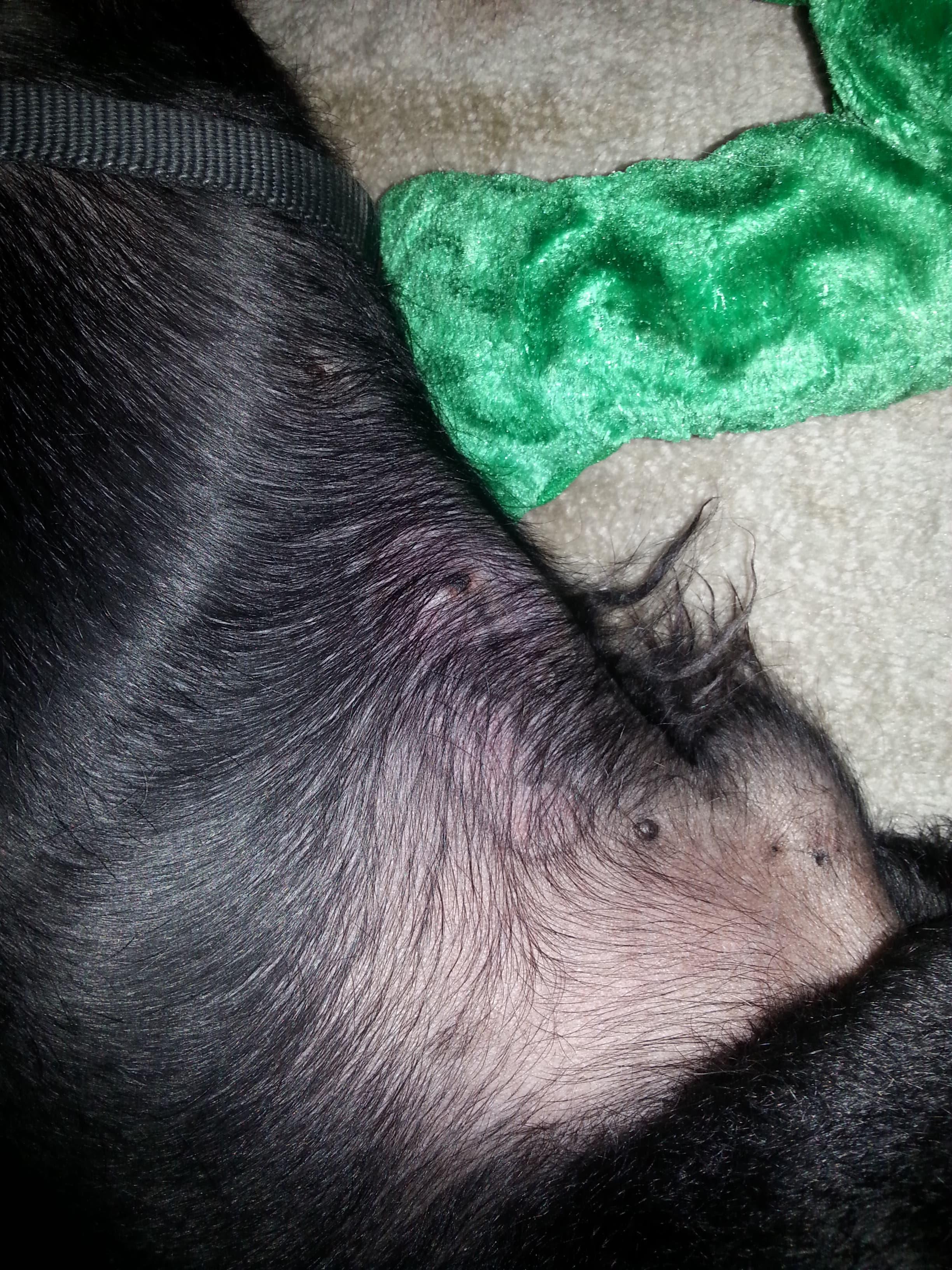 Question details sensitive content