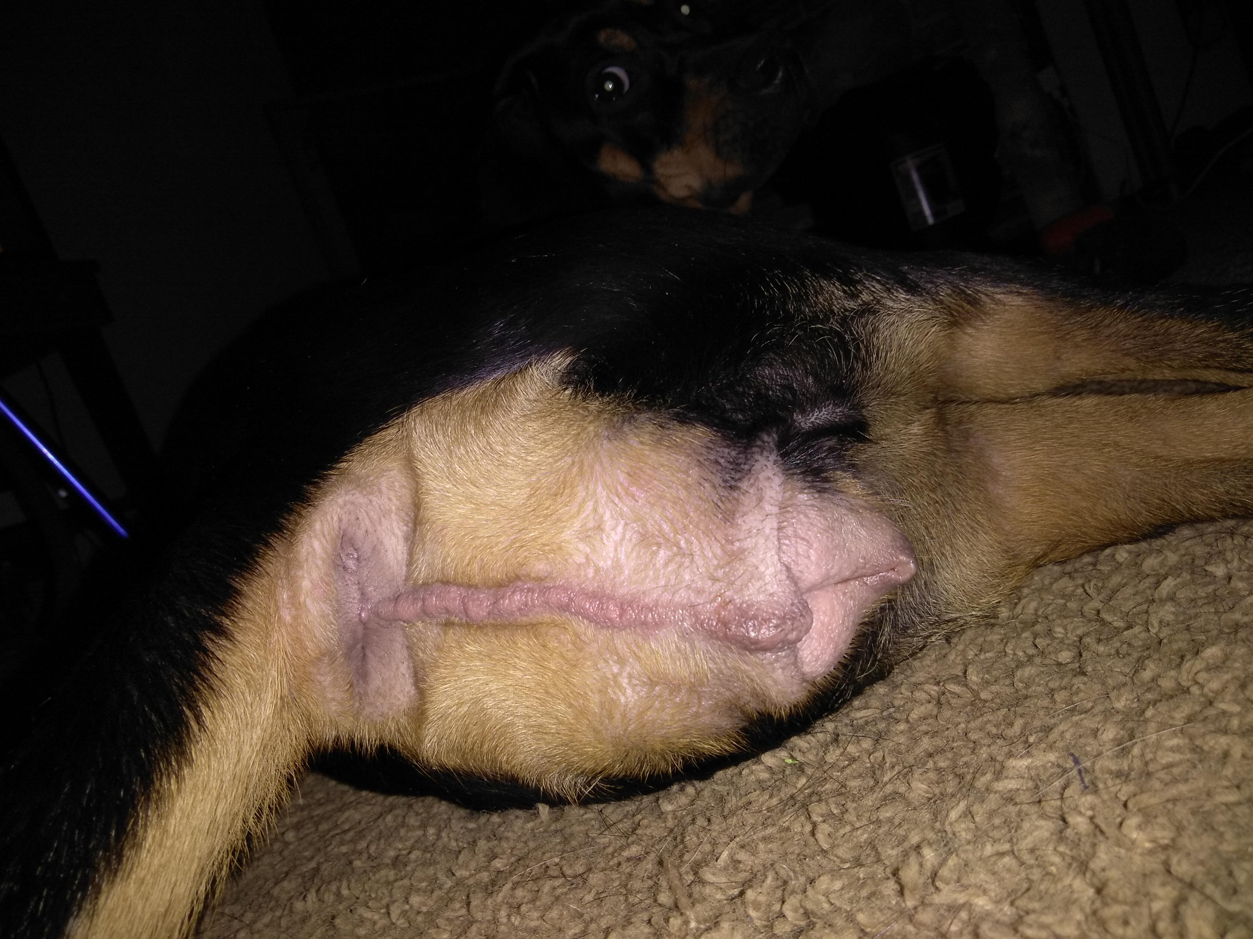 Question details sensitive content