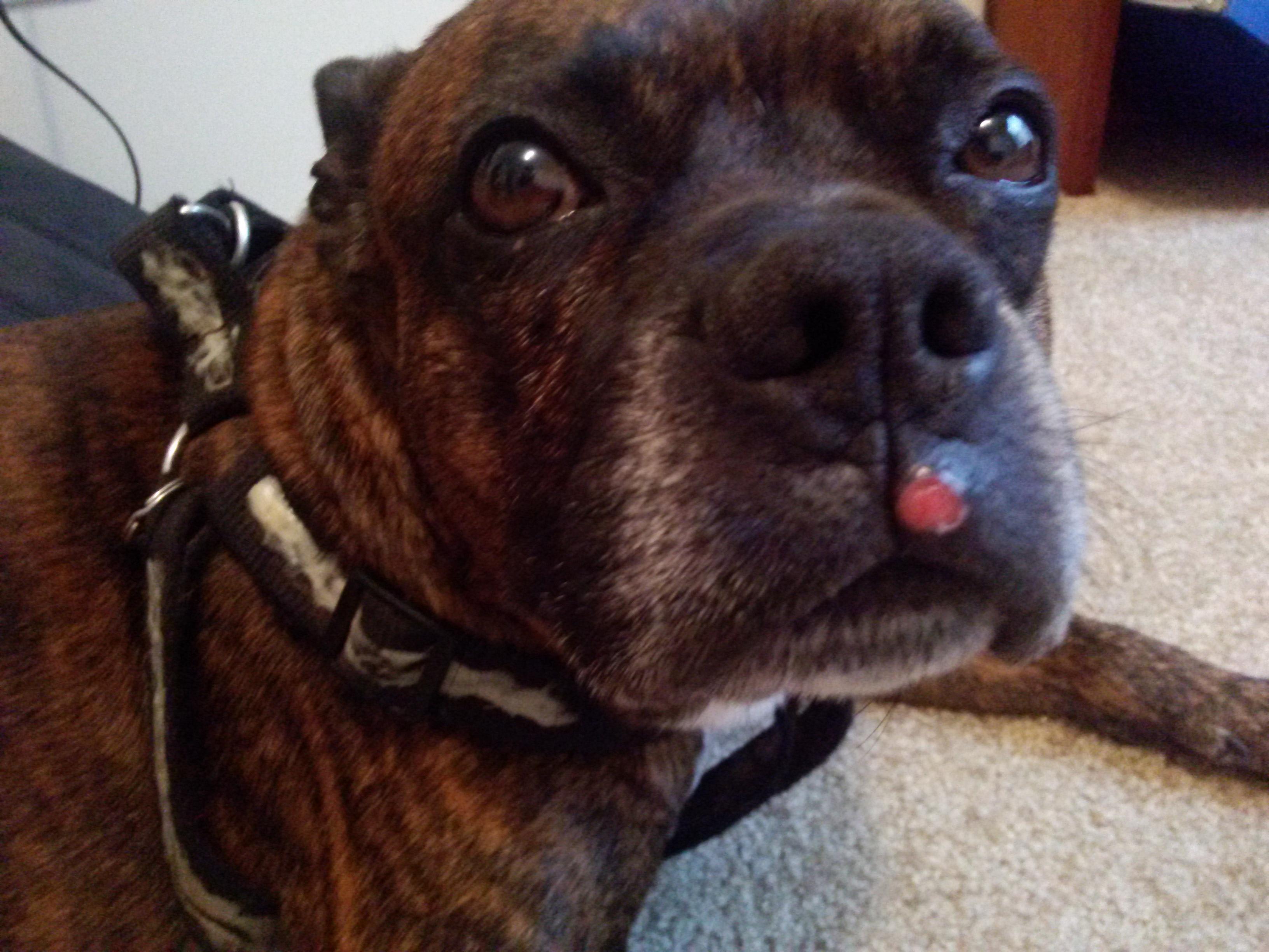 Question details sensitive content