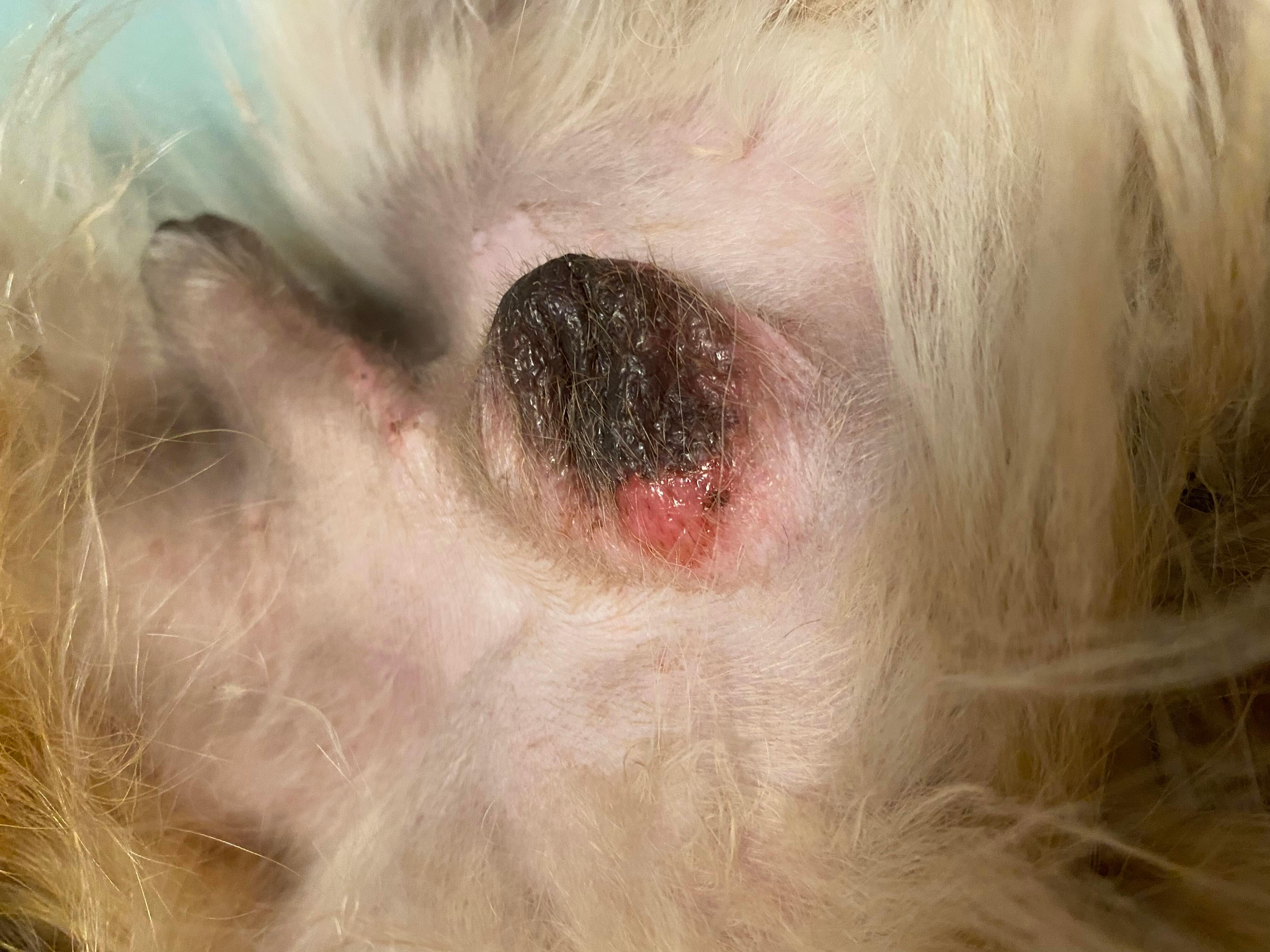 Question details sensitive content