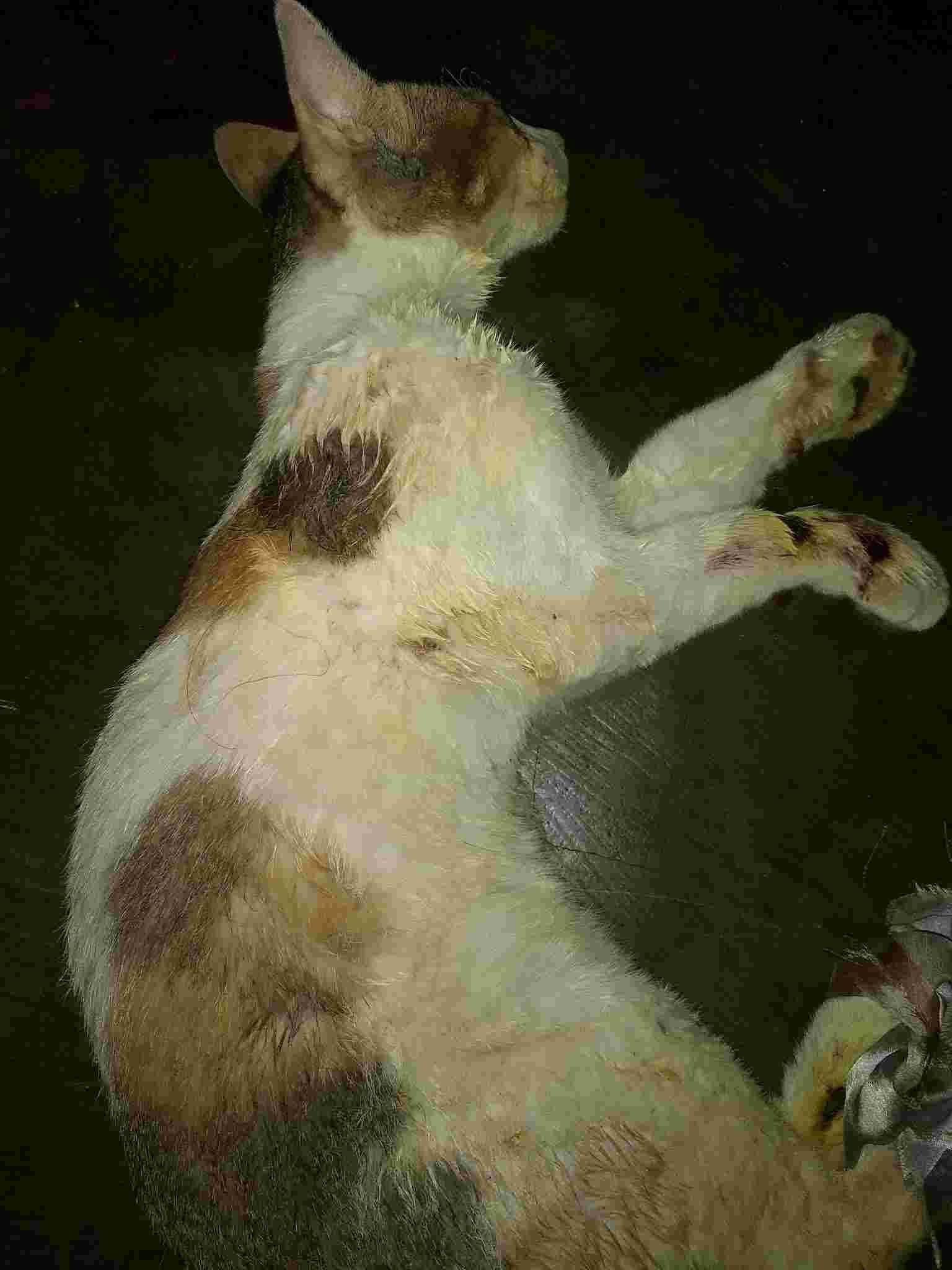 Question details sensitive content