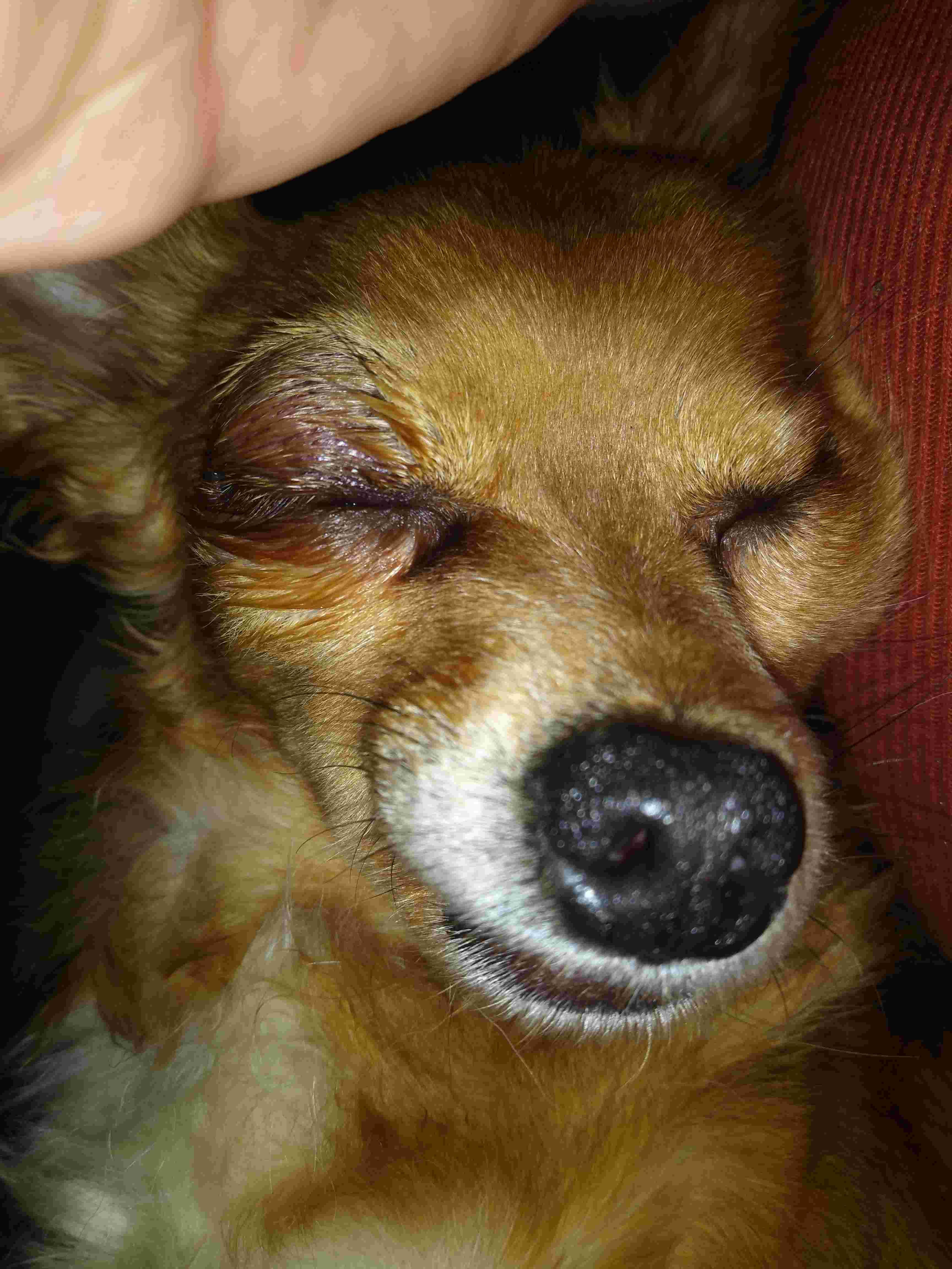 Question details sensitive content