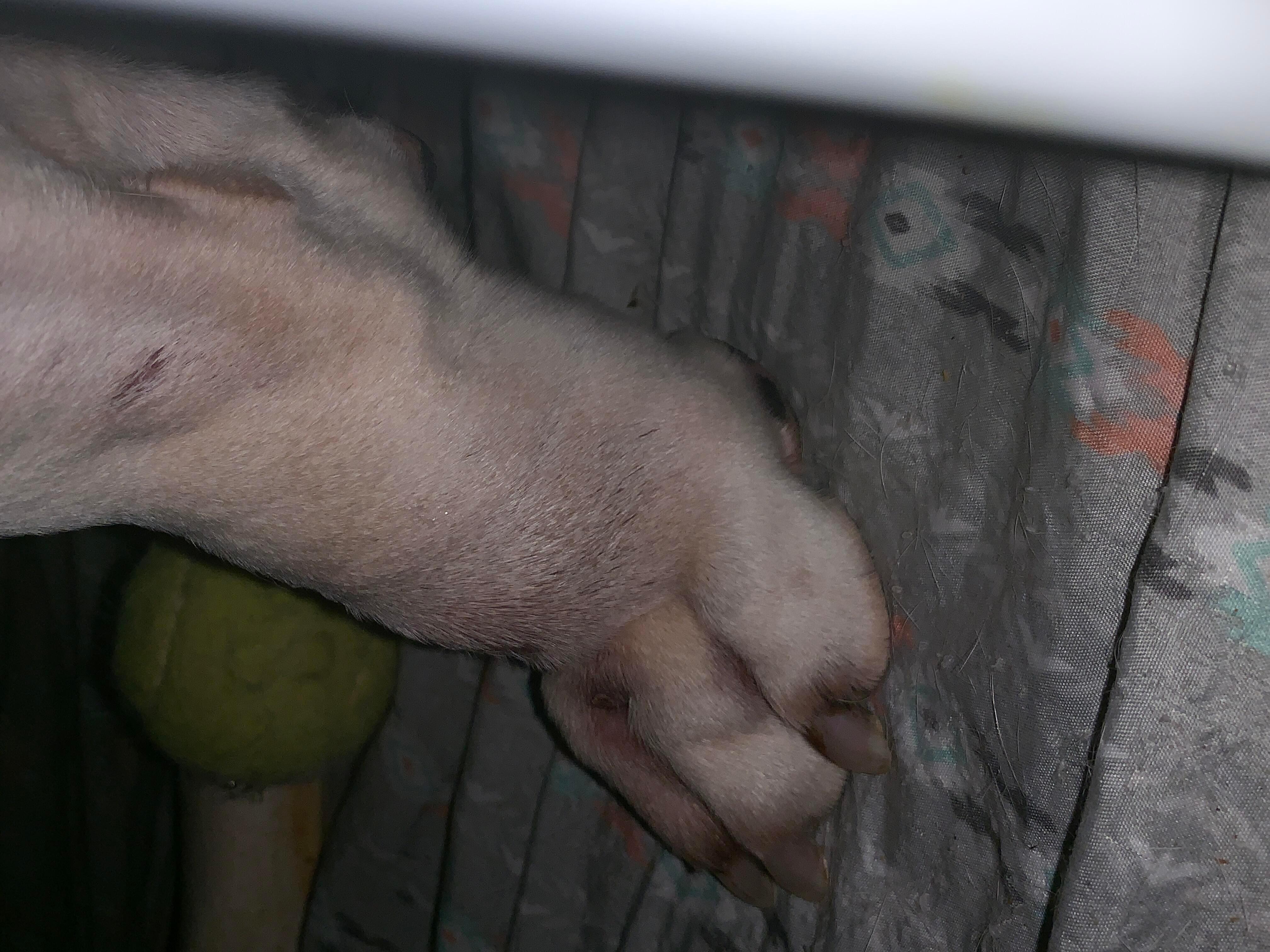 Question details sensitive content