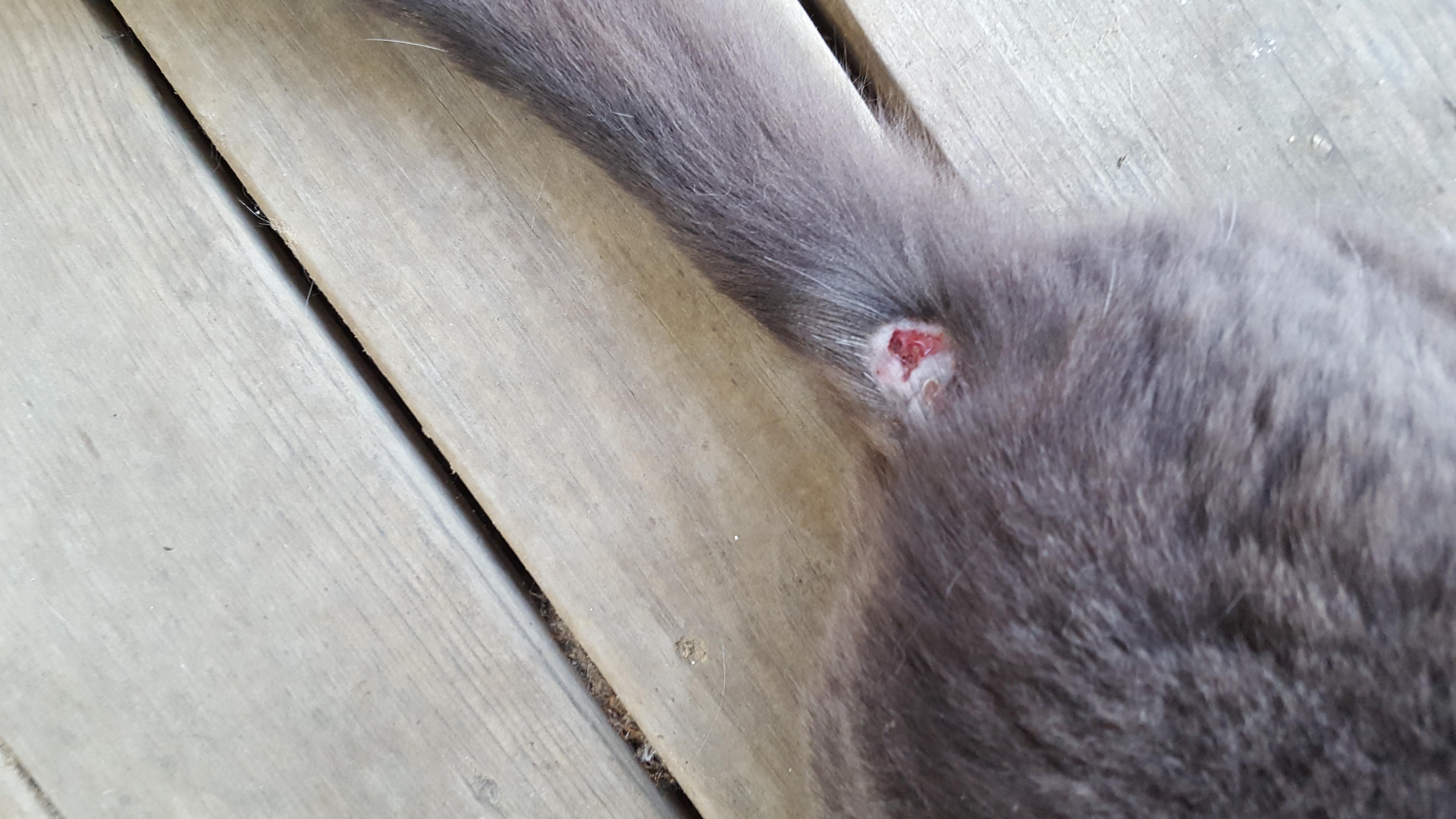 Question details sensitive content